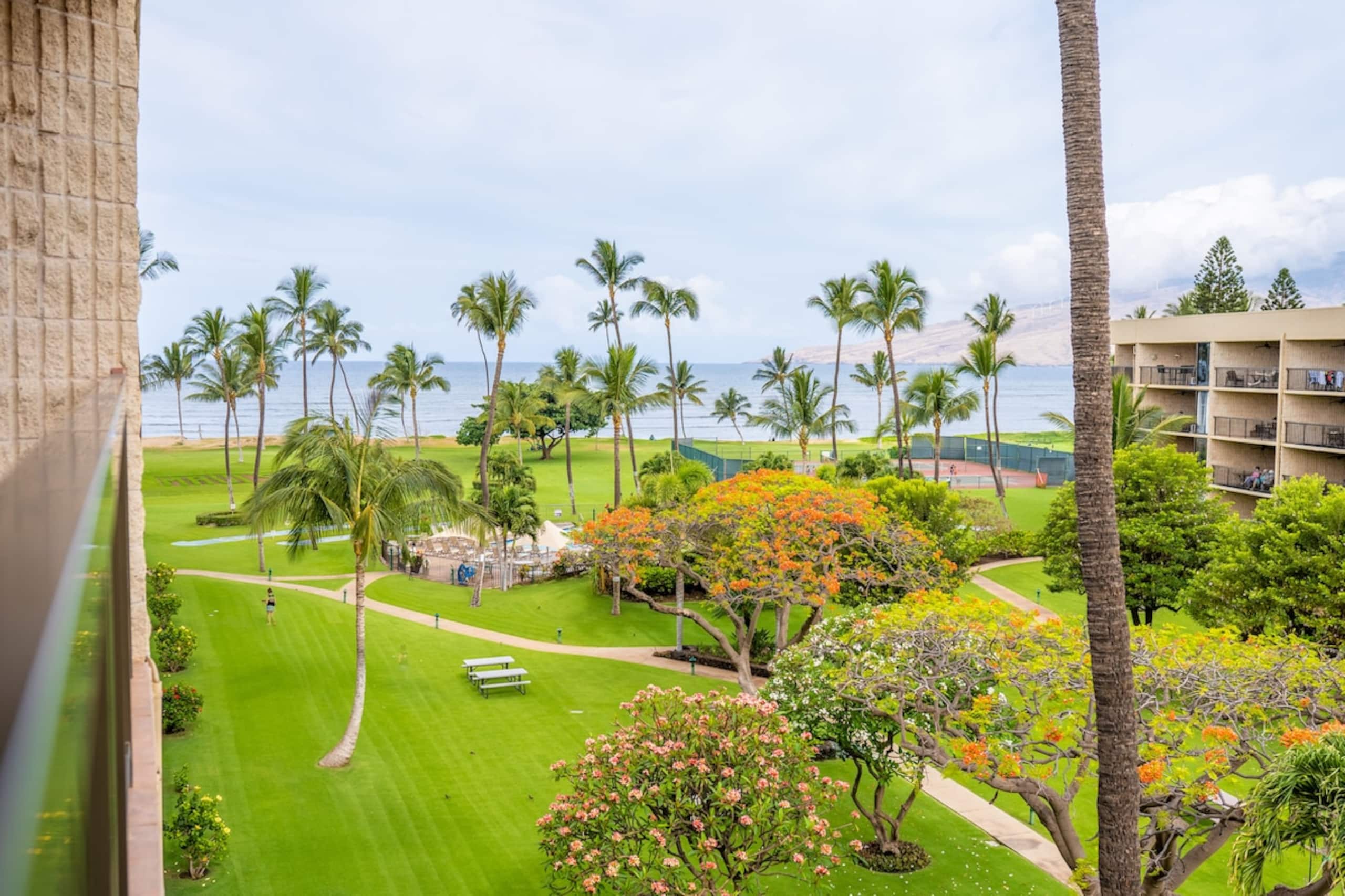 Bamboo Forest Getaway- Oceanfront, View & Pool - Photo 54