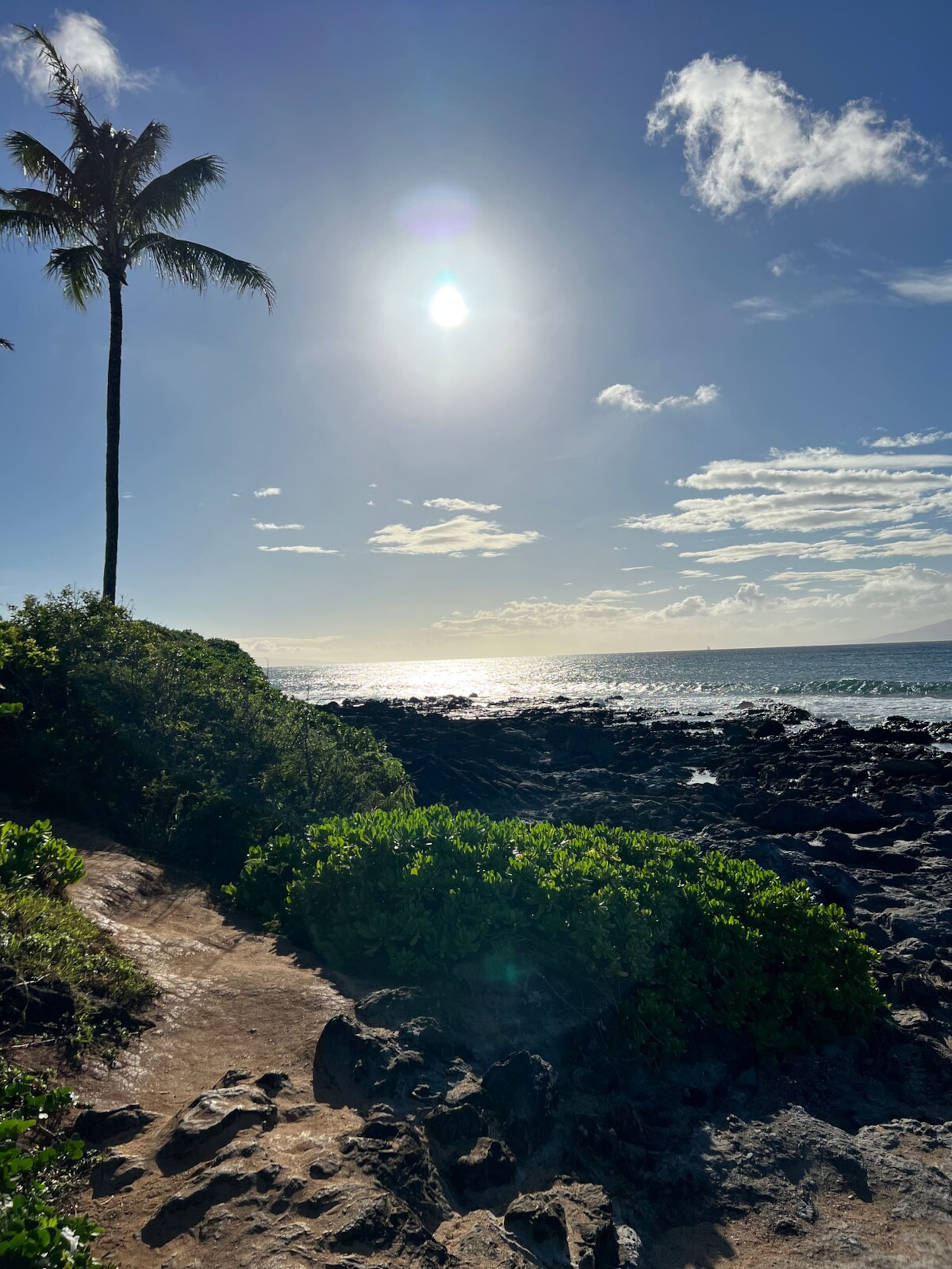 Aloha updated Studio Napili Resort Beach & Pools - Photo 18