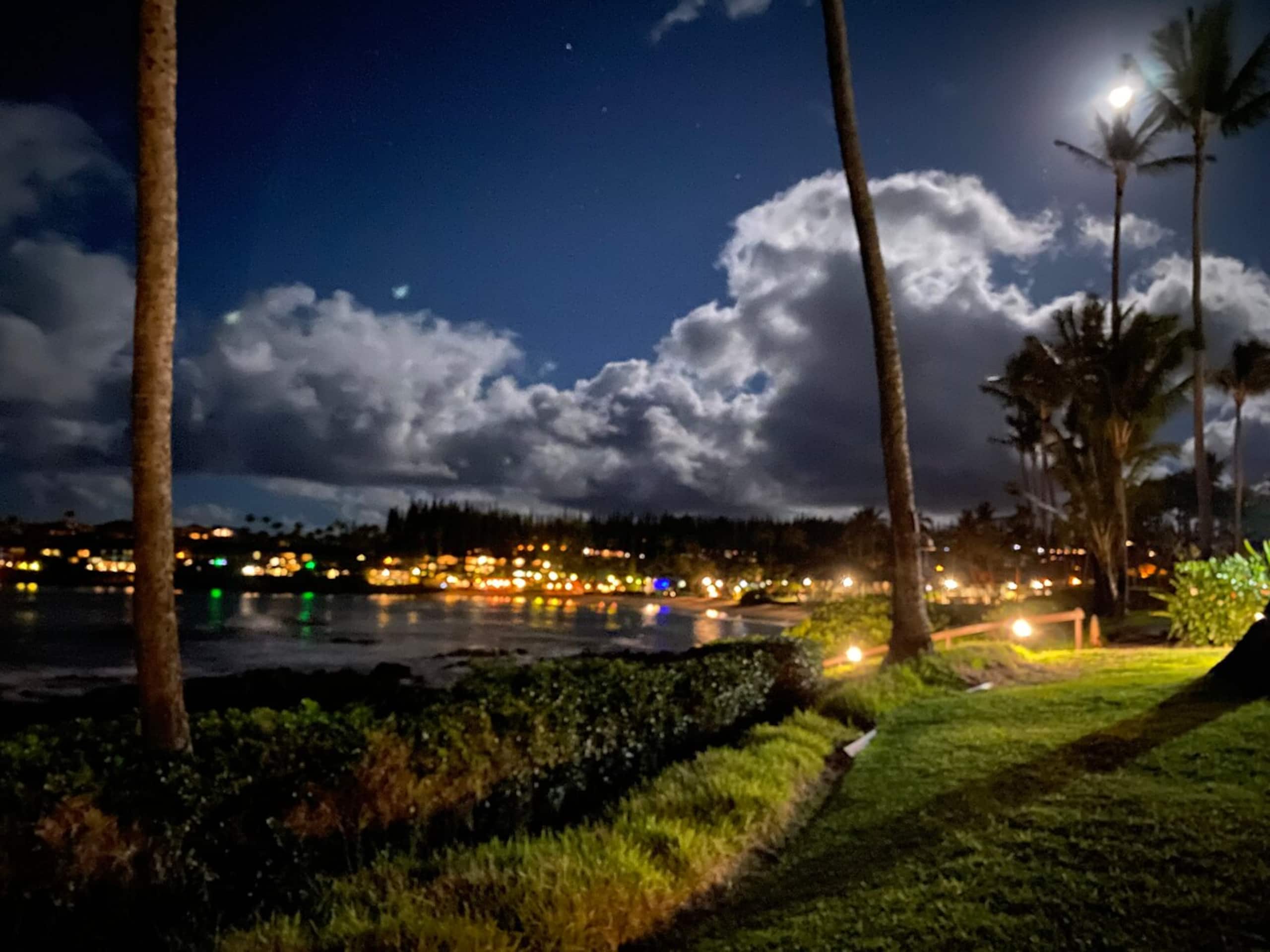 Aloha updated Studio Napili Resort Beach & Pools - Photo 4