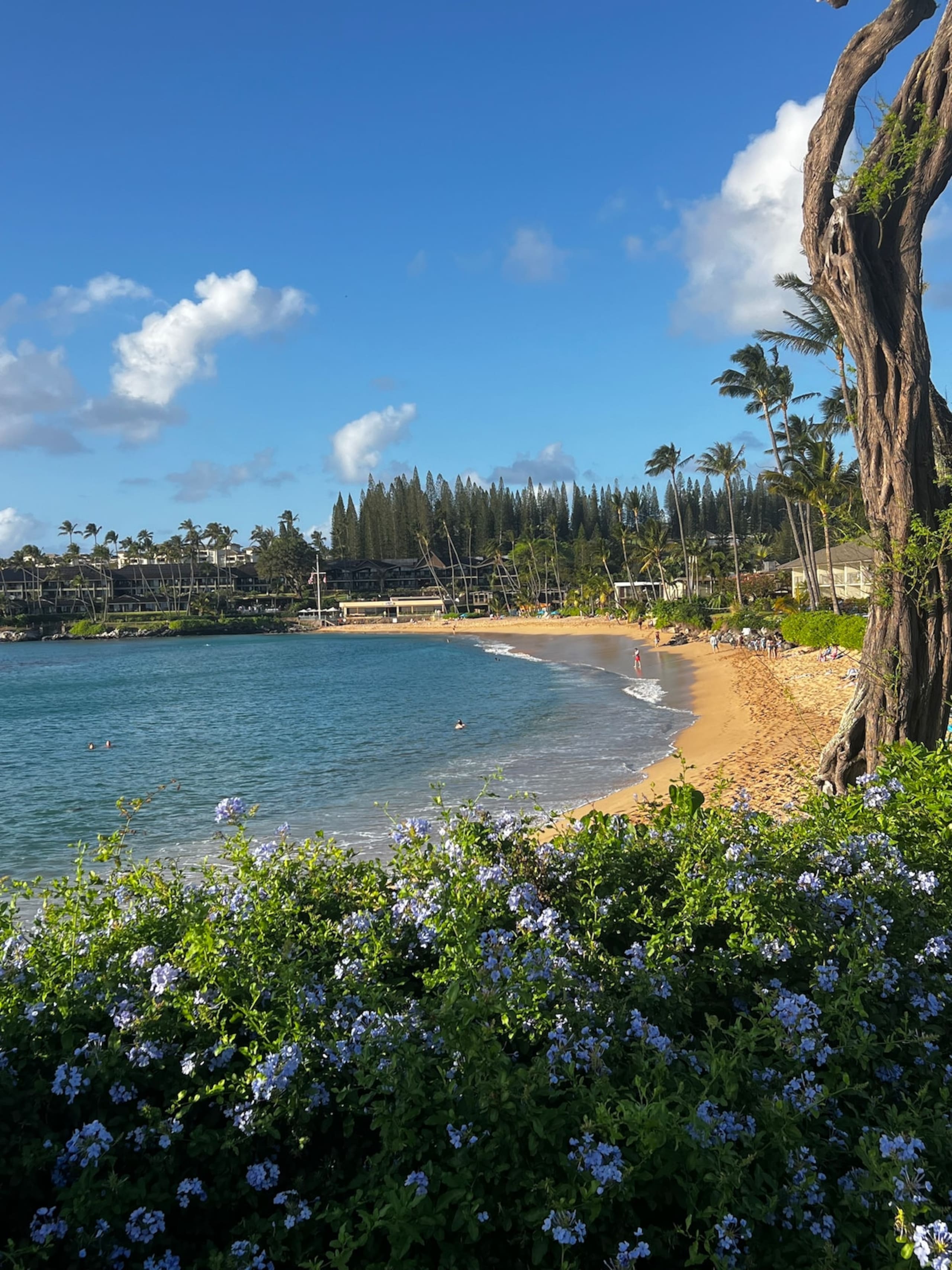Aloha updated Studio Napili Resort Beach & Pools - Photo 2