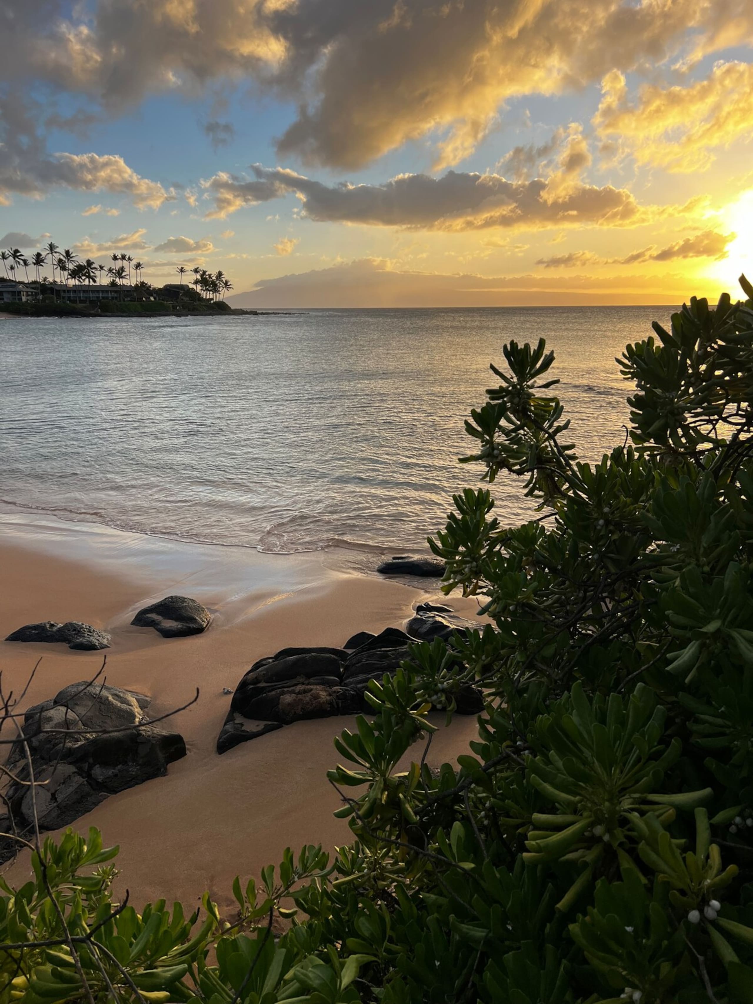 Aloha updated Studio Napili Resort Beach & Pools - Photo 13