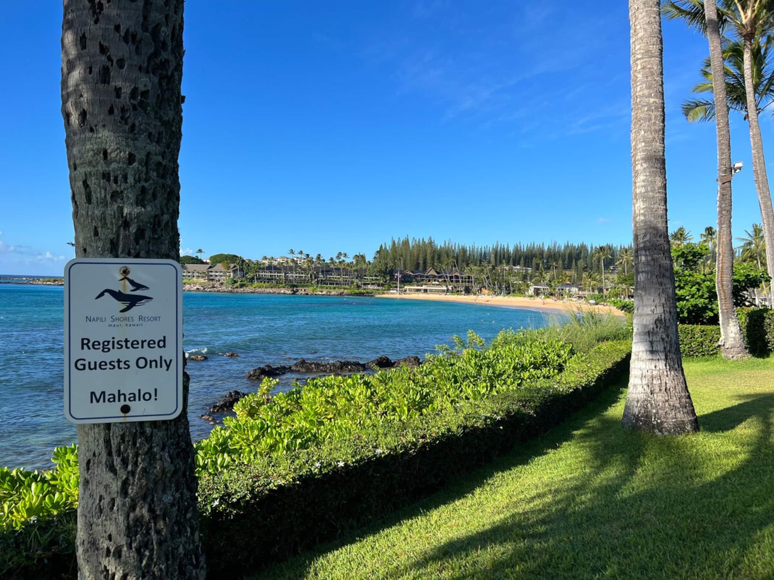 Aloha updated Studio Napili Resort Beach & Pools - Photo 7