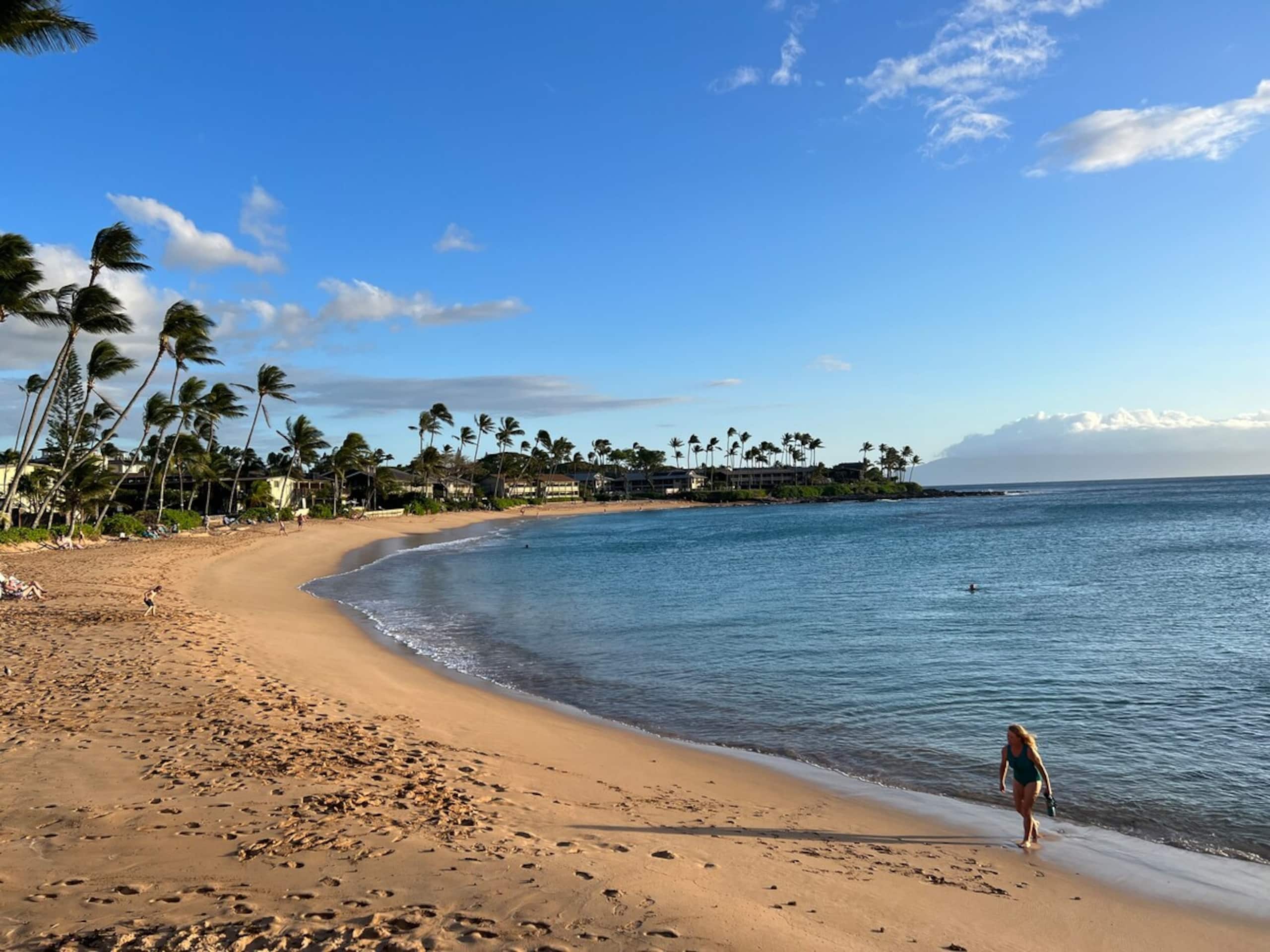Aloha updated Studio Napili Resort Beach & Pools - Photo 25