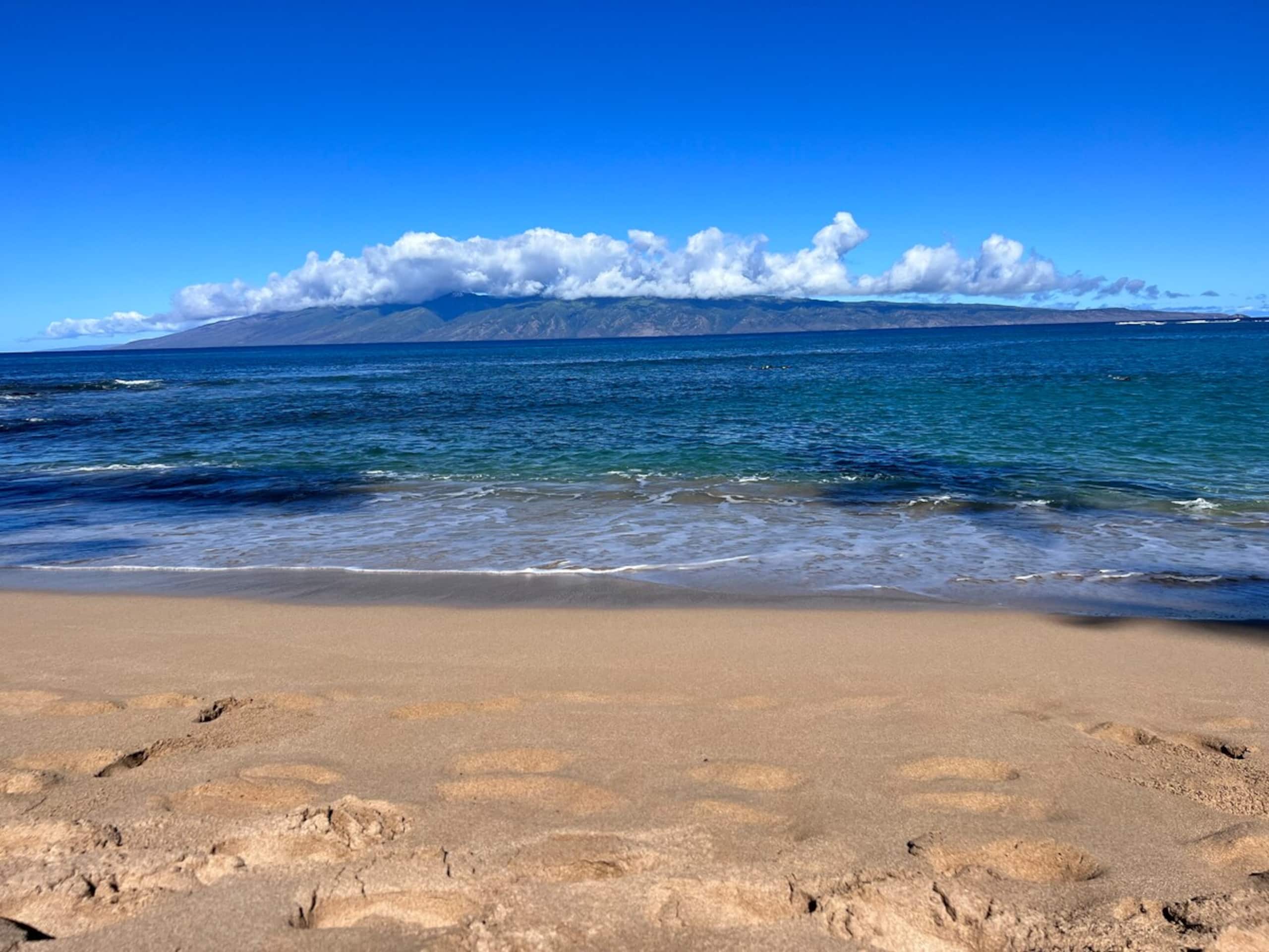 Aloha updated Studio Napili Resort Beach & Pools - Photo 15