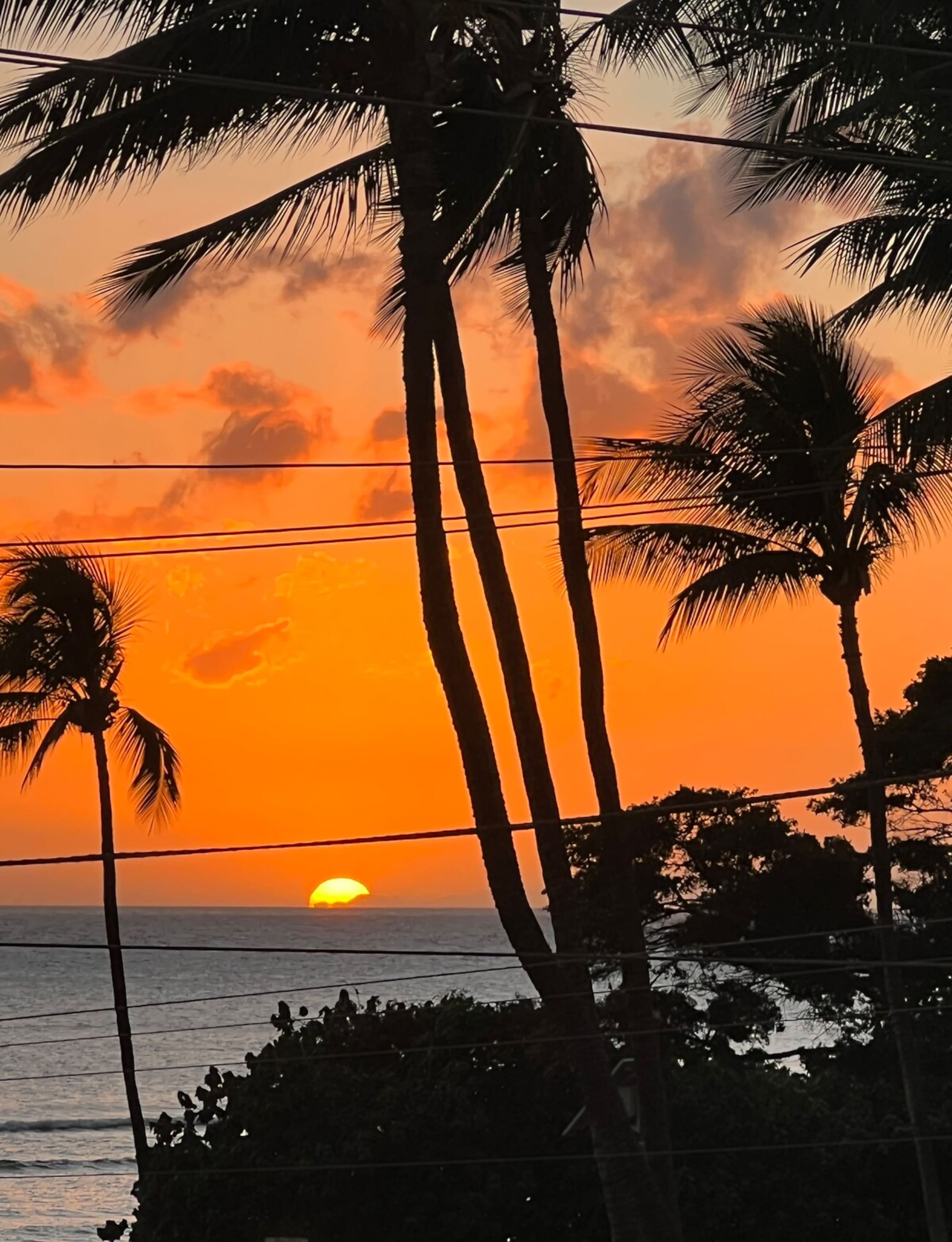 Oceanfront Views in the heart of Kihei - Photo 16