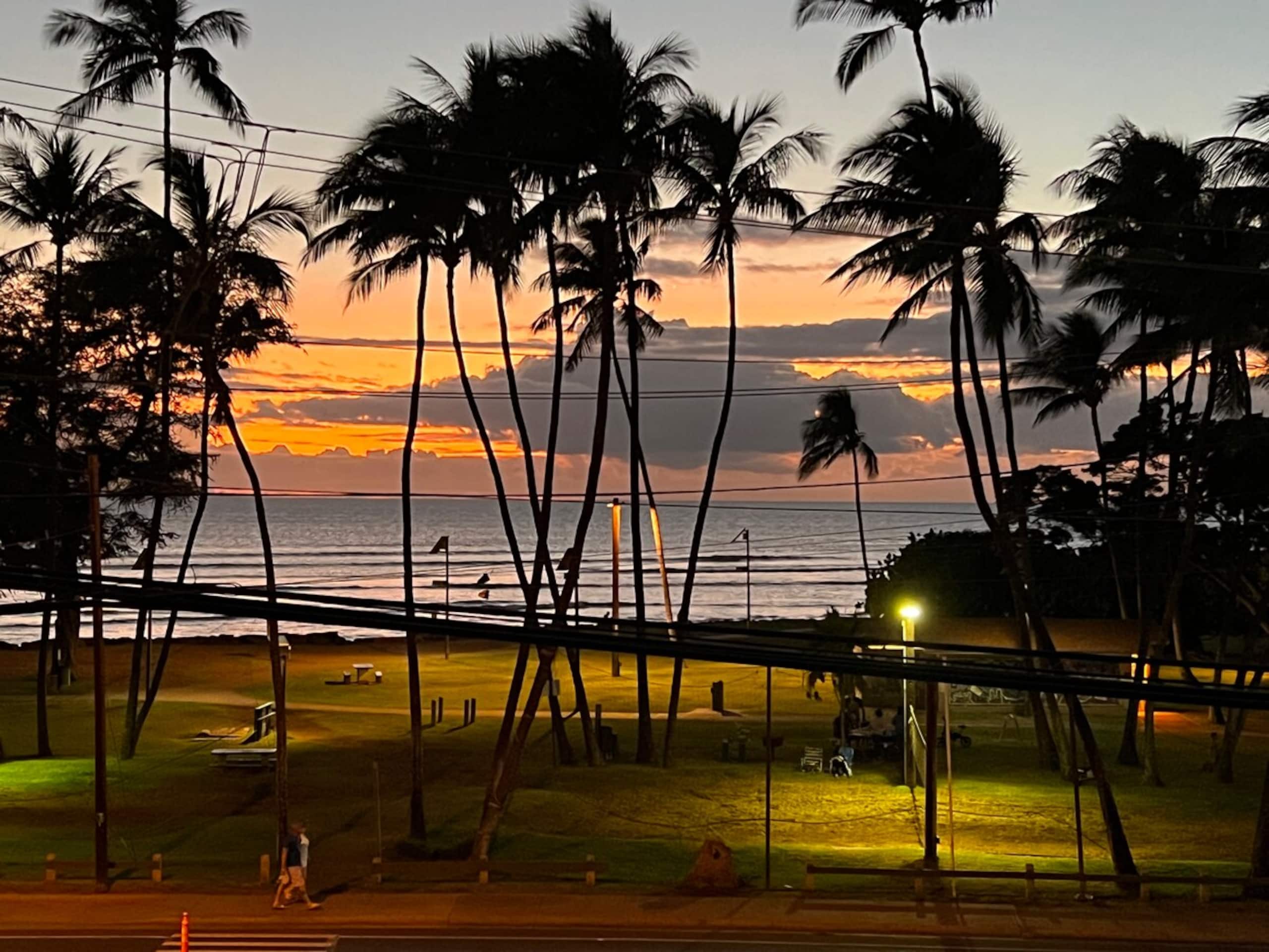 Oceanfront Views in the heart of Kihei - Photo 14