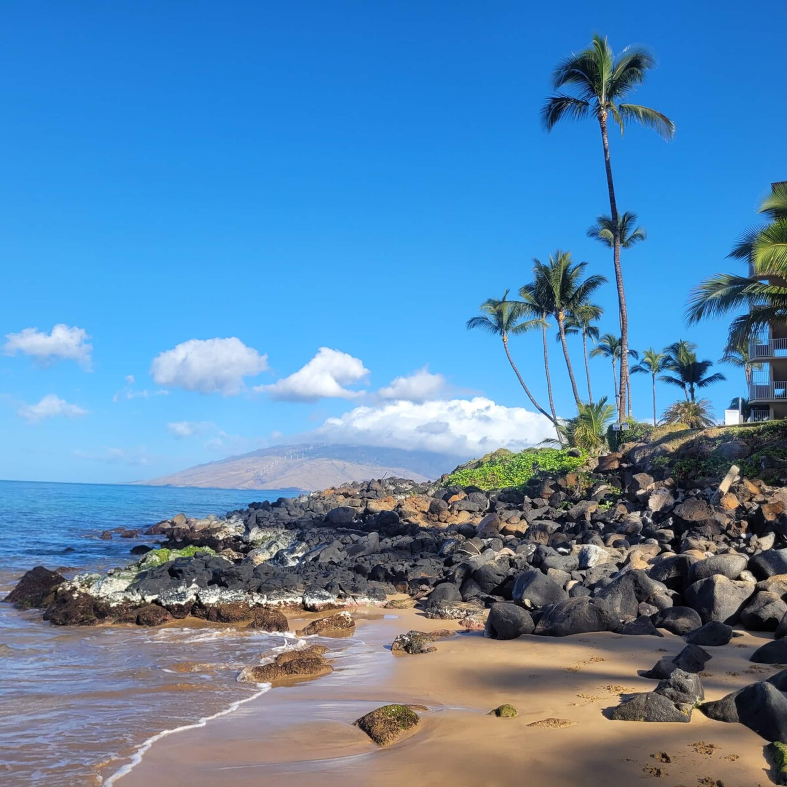 Almost Wailea at a Kihei Price - Photo 23