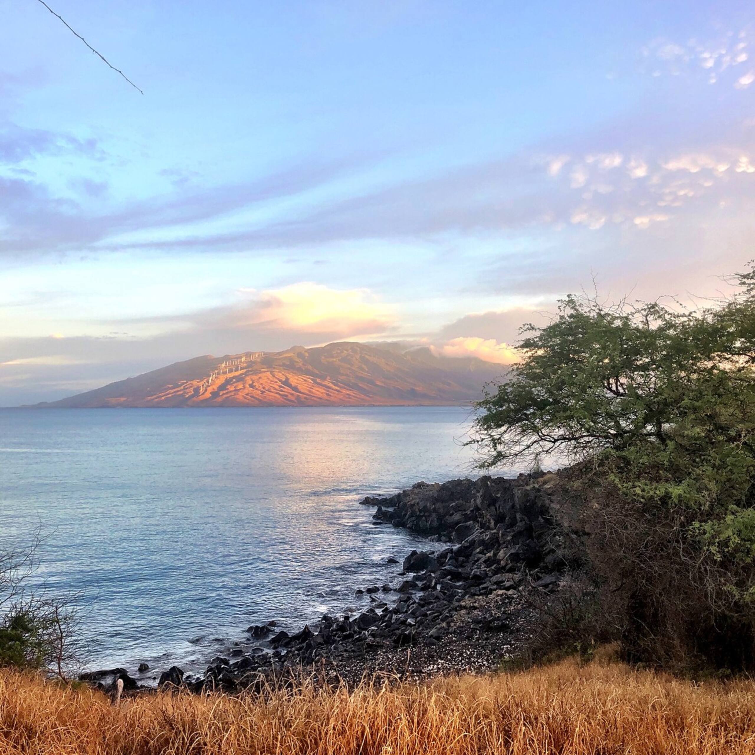 Almost Wailea at a Kihei Price - Photo 18