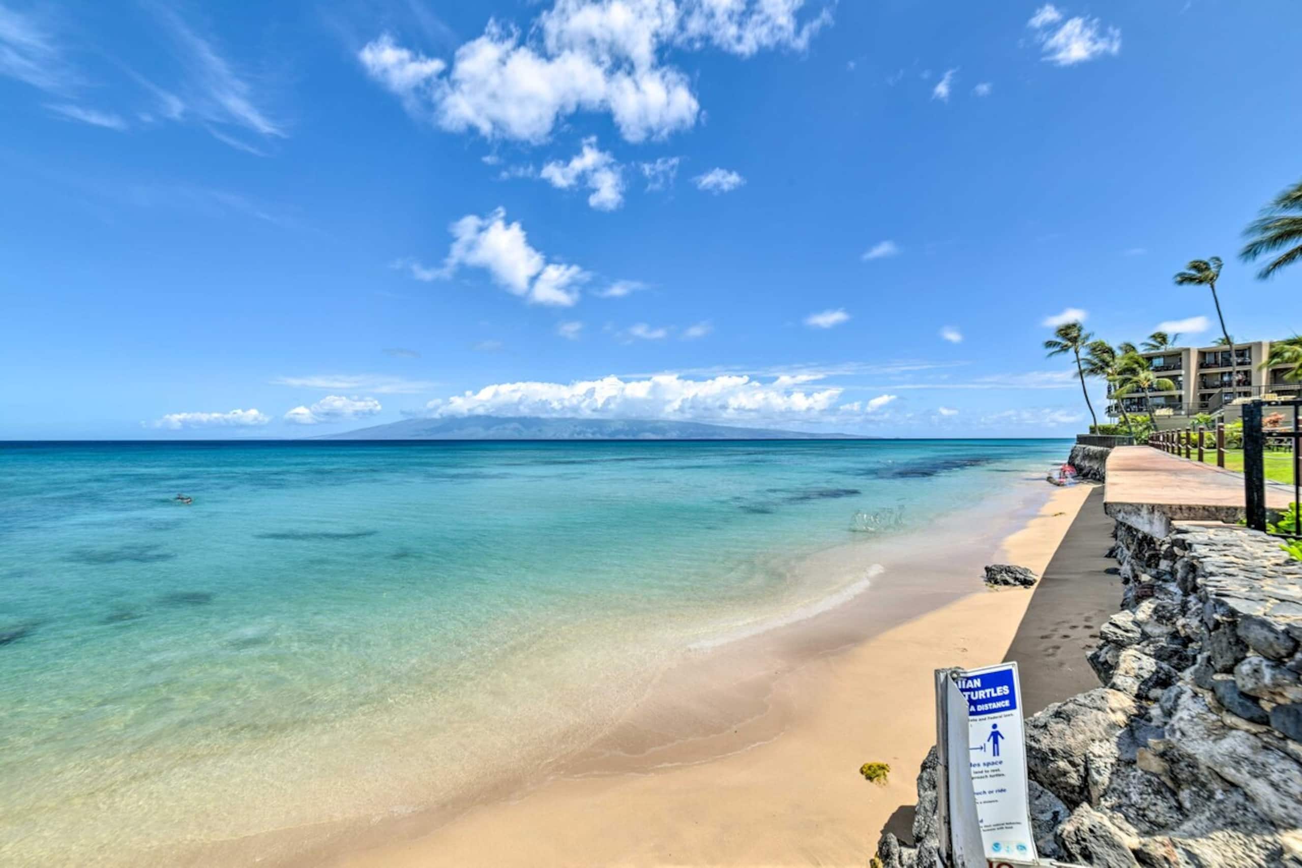 Beachfront Condo Sunset Views & Pool Access - Photo 3