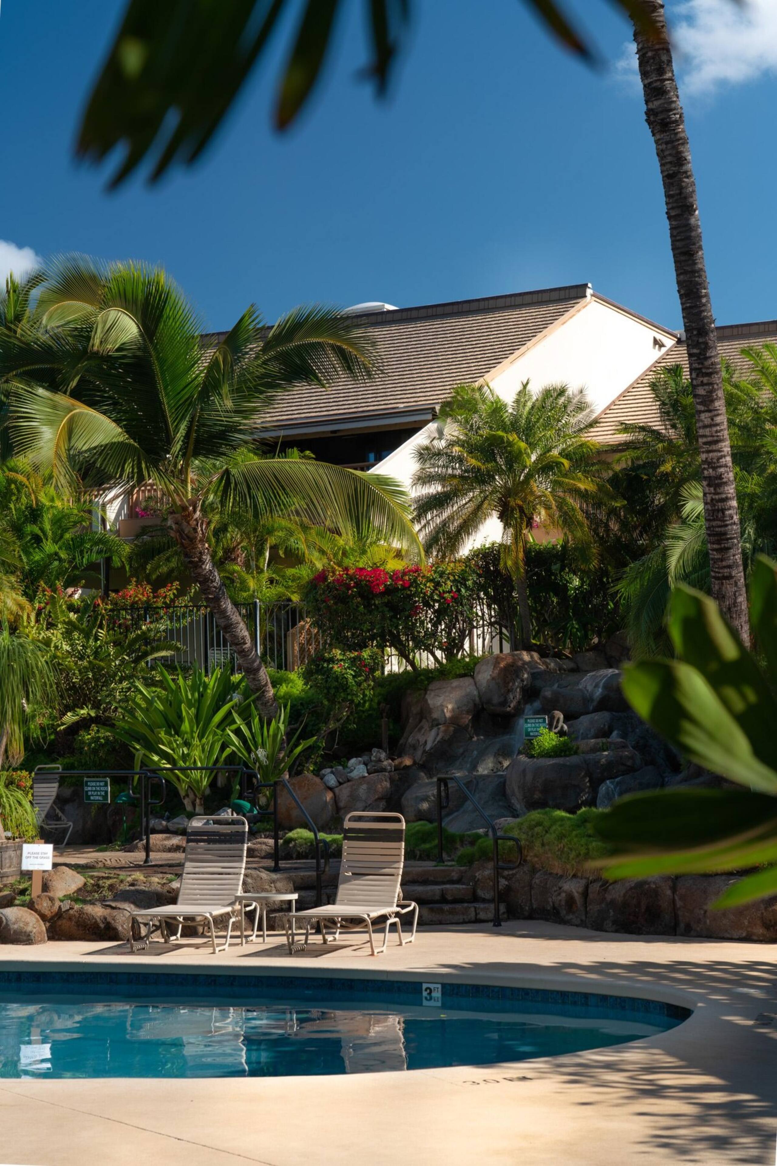 Stunning Remodel I Maui Kamaole I 201 - Photo 65