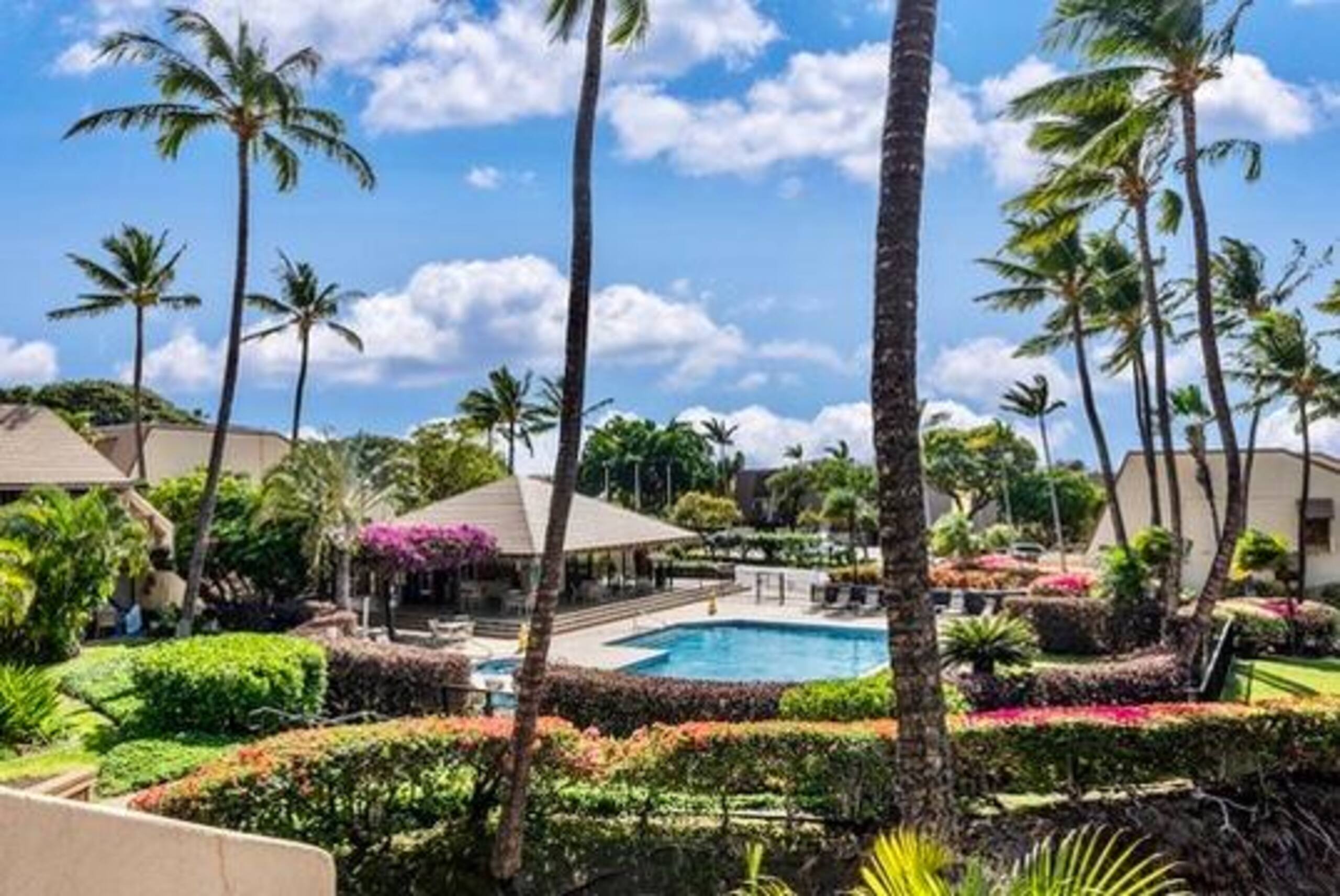Stunning Remodel I Maui Kamaole I 201 - Photo 50