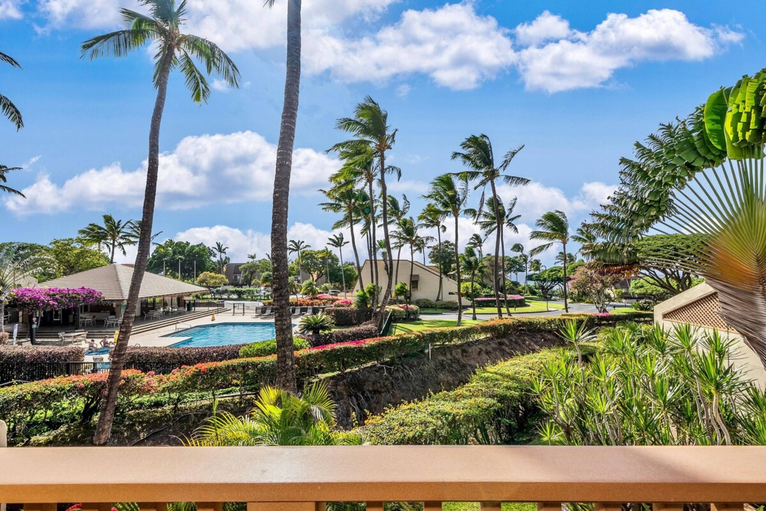 Stunning Remodel I Maui Kamaole I 201 - Photo 56