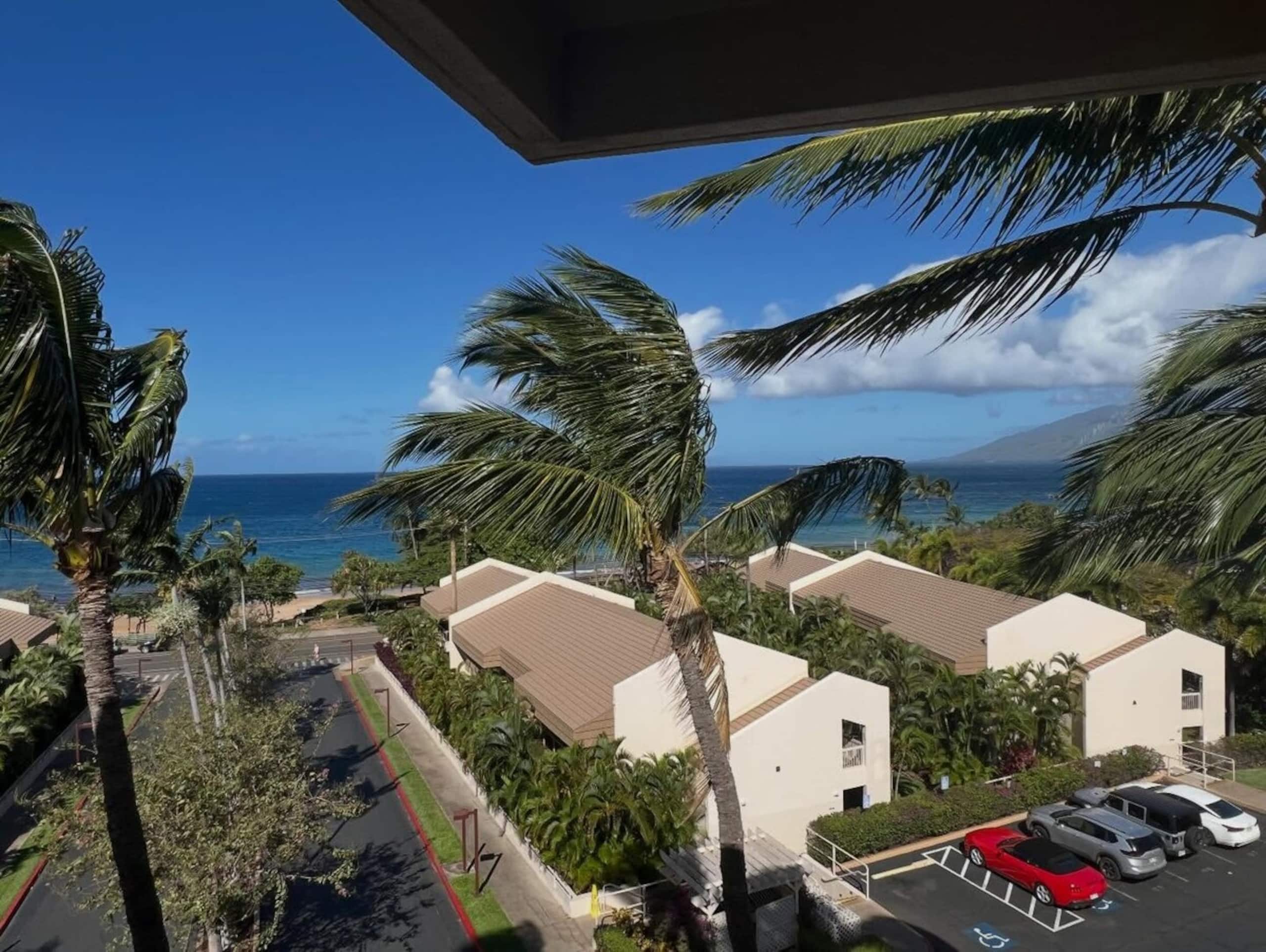 Across from the beach B202 - Maui Banyan Kihei - Photo 34