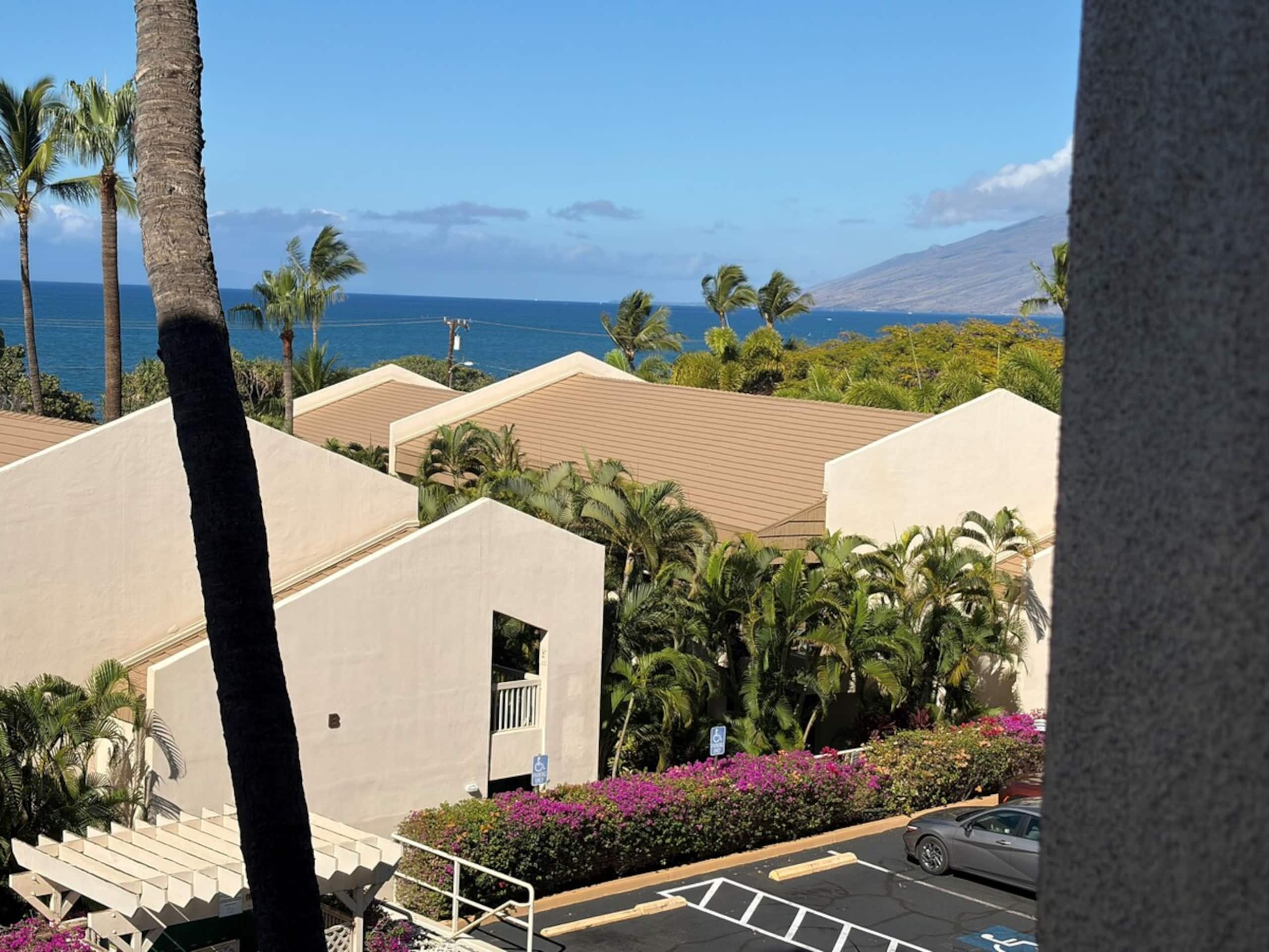 Across from the beach B202 - Maui Banyan Kihei - Photo 26