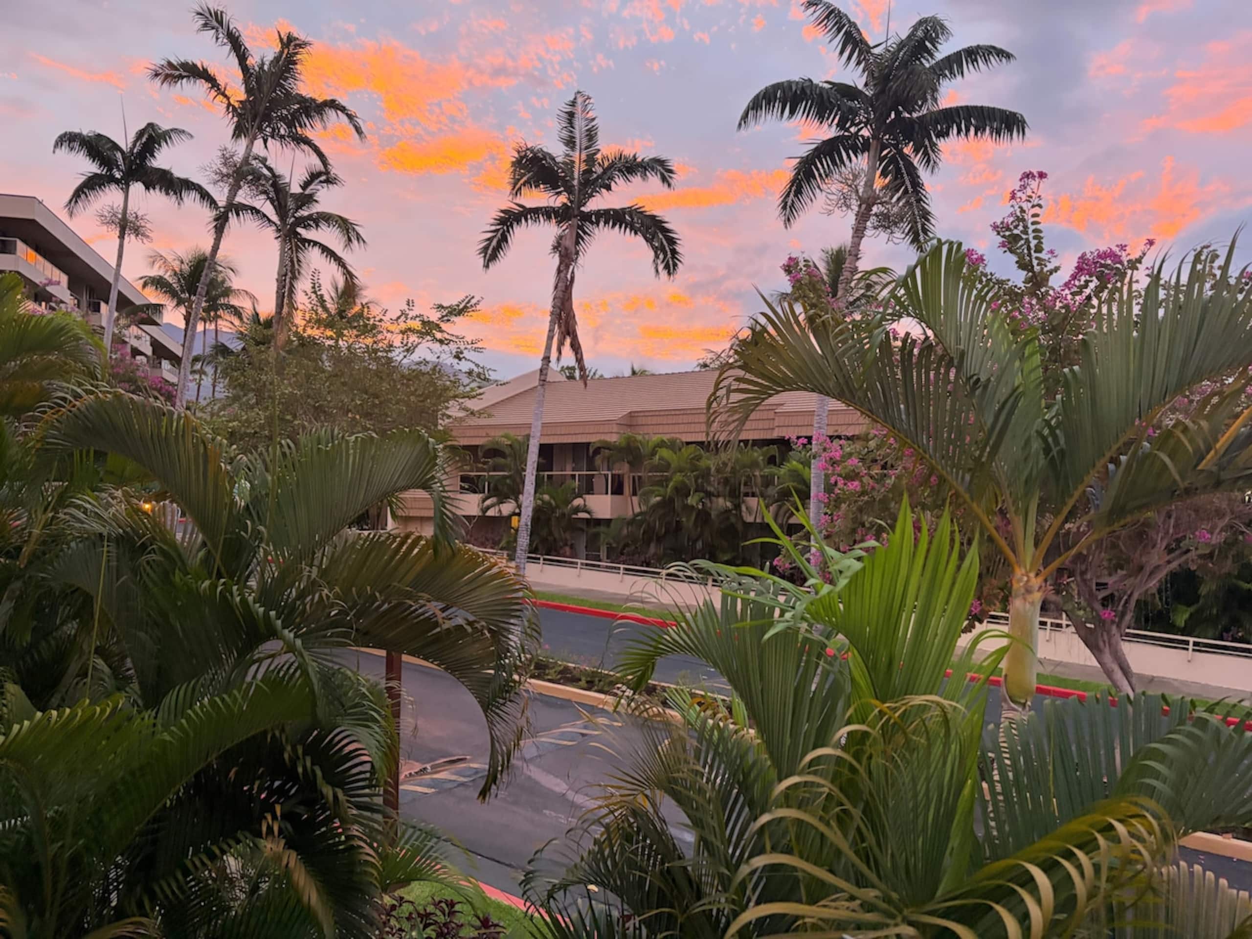 Across from the beach B202 - Maui Banyan Kihei - Photo 27