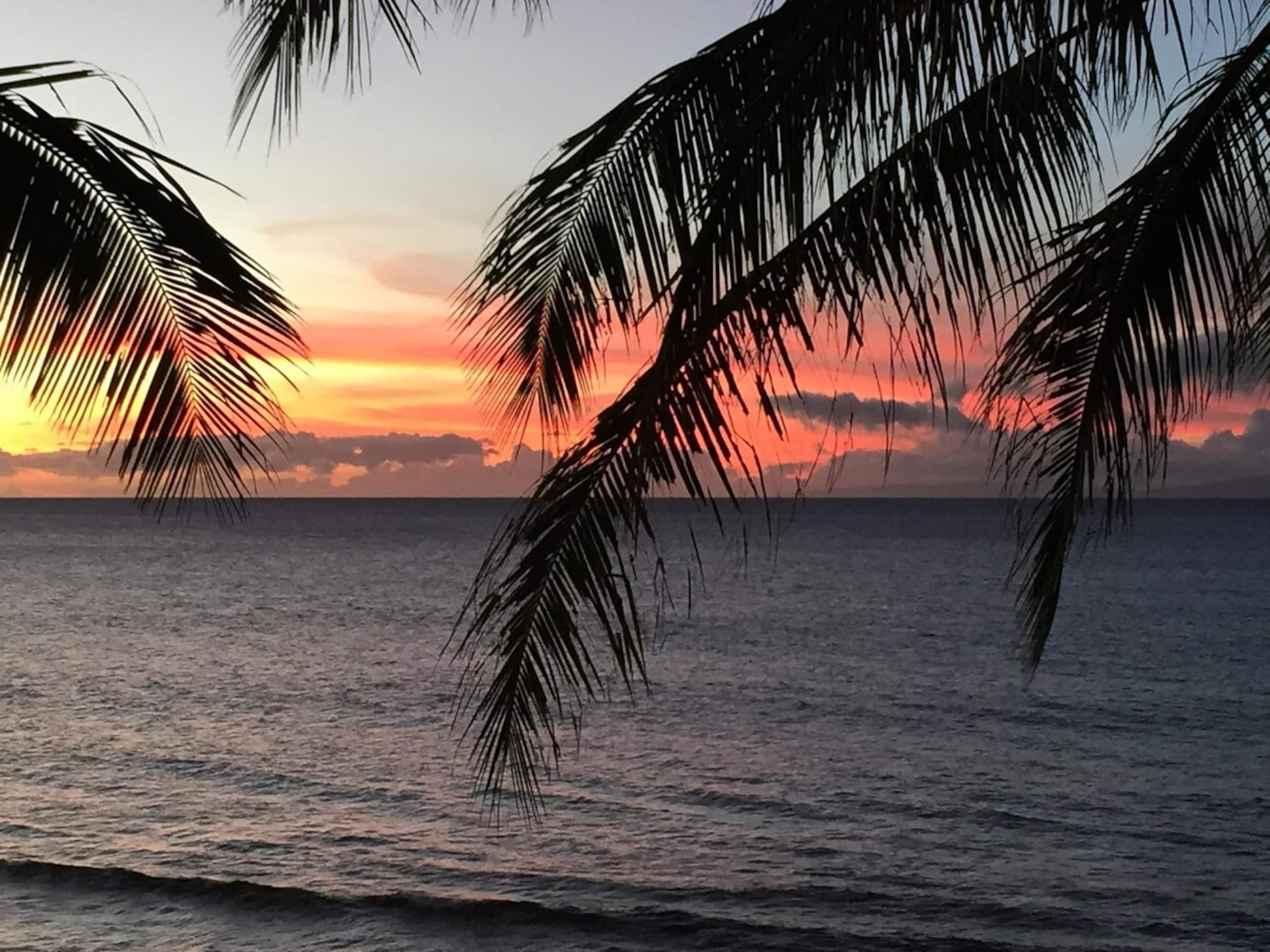 Oceanfront Penthouse w/ Panoramic Views + A/C - Photo 49