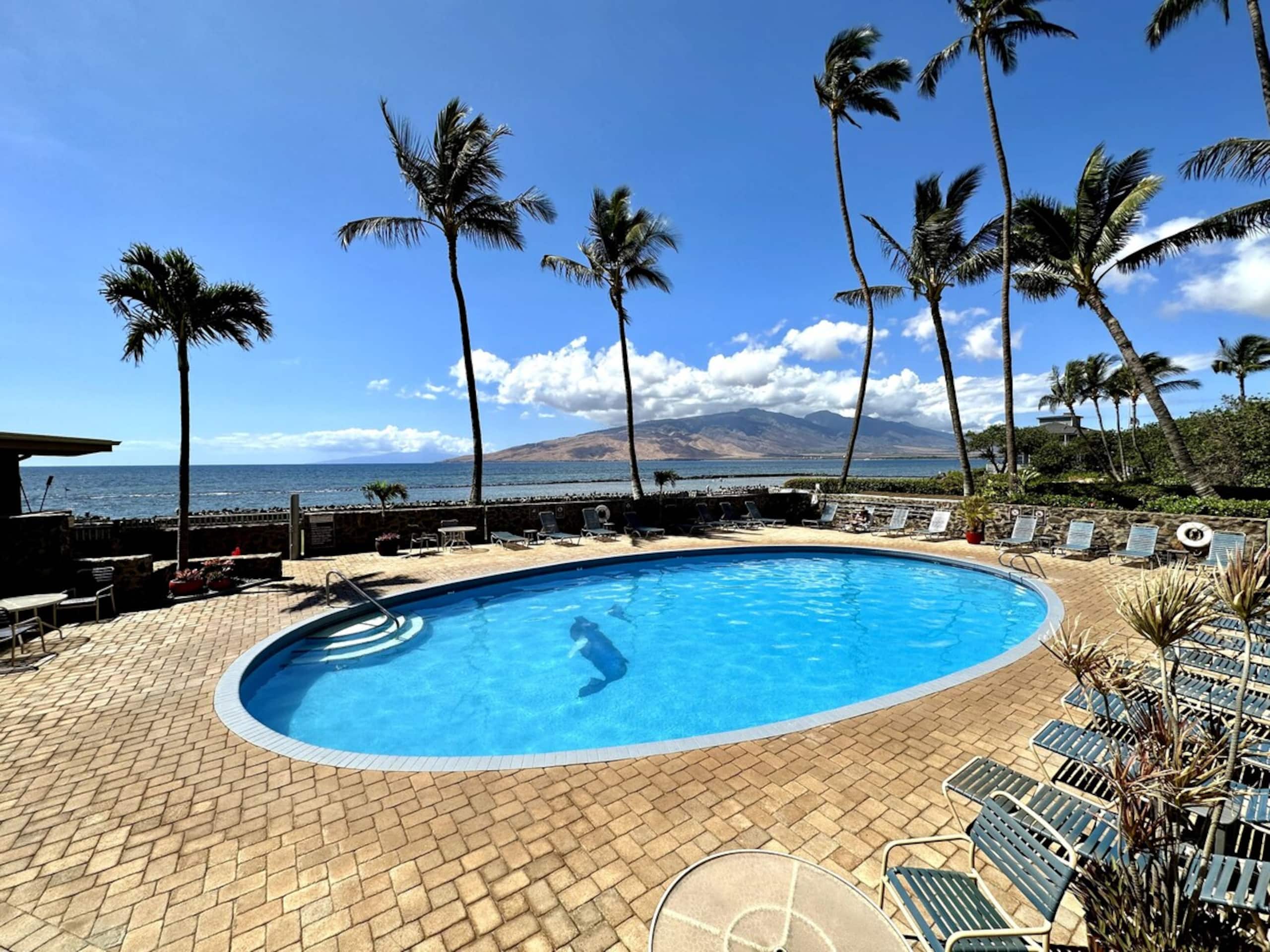 Beautiful Oceanfront, A/C in Each Room, Sleeps 6 - Photo 50