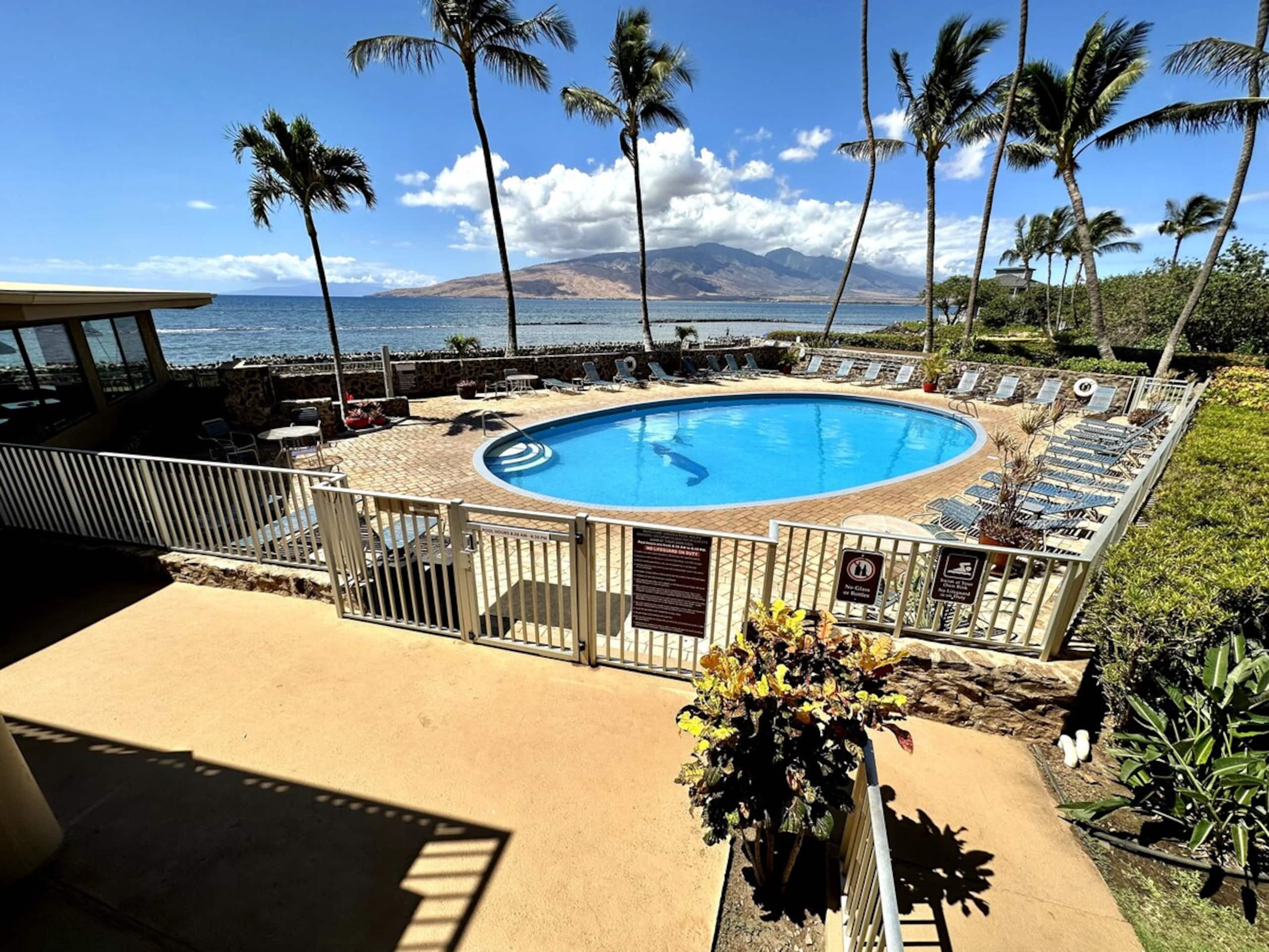 Beautiful Oceanfront, A/C in Each Room, Sleeps 6 - Photo 49