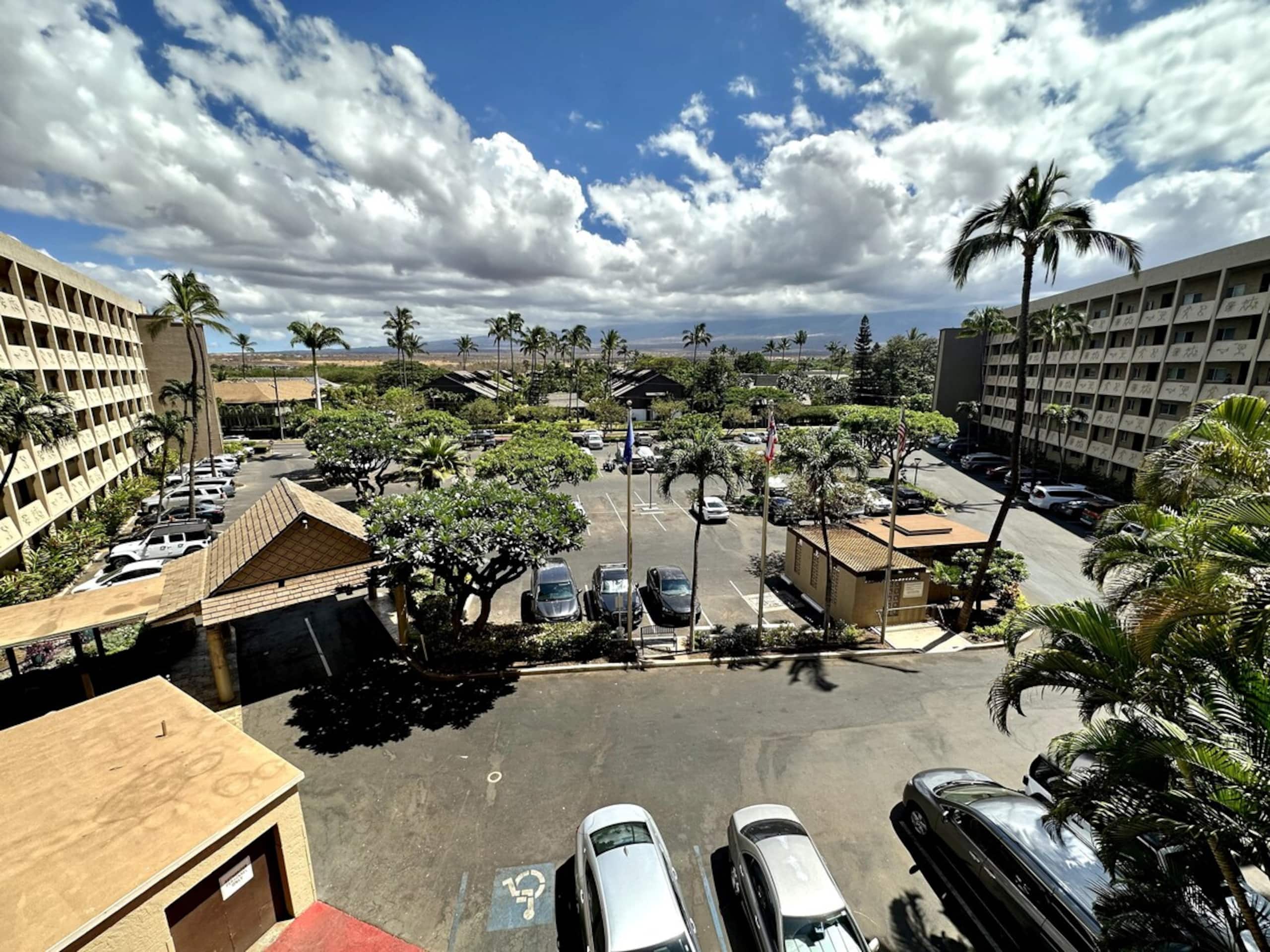 Beautiful Oceanfront, A/C in Each Room, Sleeps 6 - Photo 41