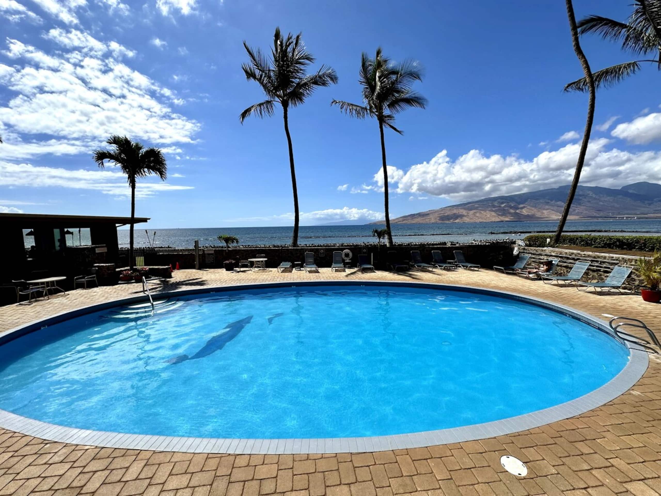 Beautiful Oceanfront, A/C in Each Room, Sleeps 6 - Photo 44