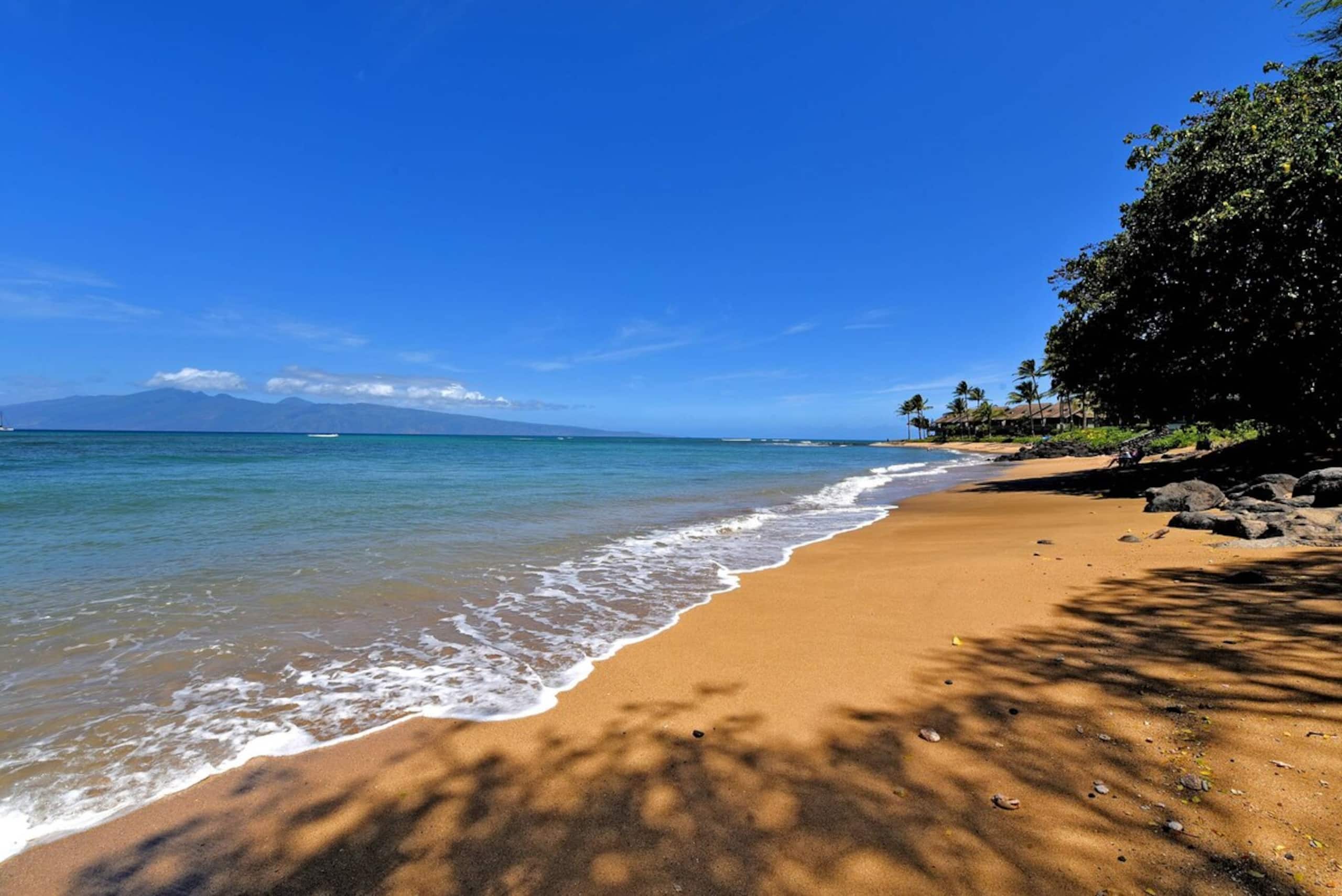 Luxury Oceanfront Turtles Sunsets - Maui, Hawaii - - Photo 28