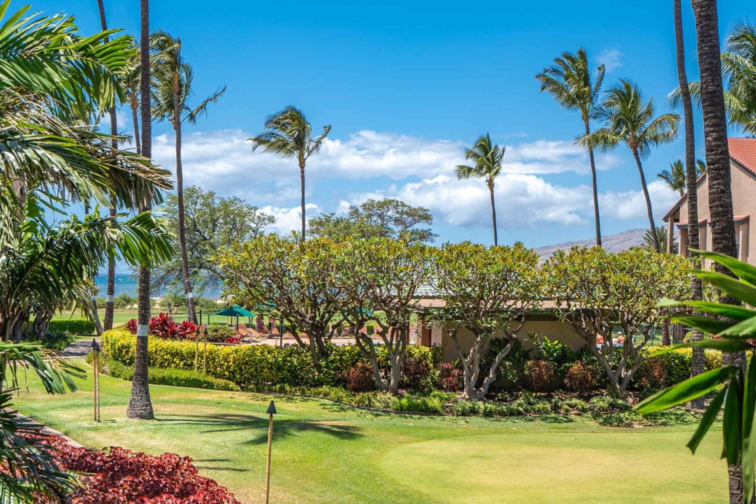 Stunning One Bd Partial ocean, AC, wifi,Pool C209 - Photo 1
