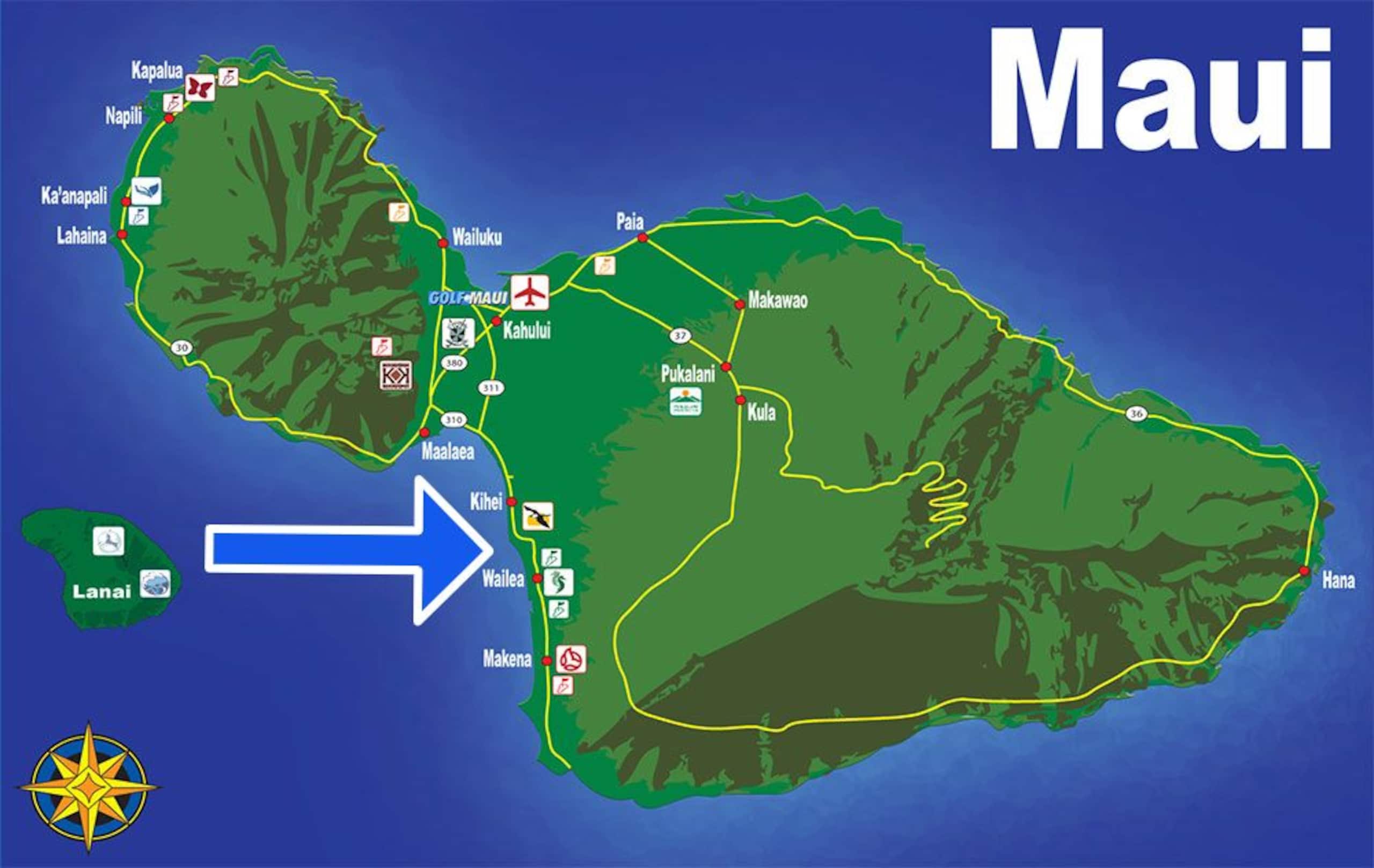 Maui Tropical Getaway w/ Ocean View, Pool, A/C - Photo 62