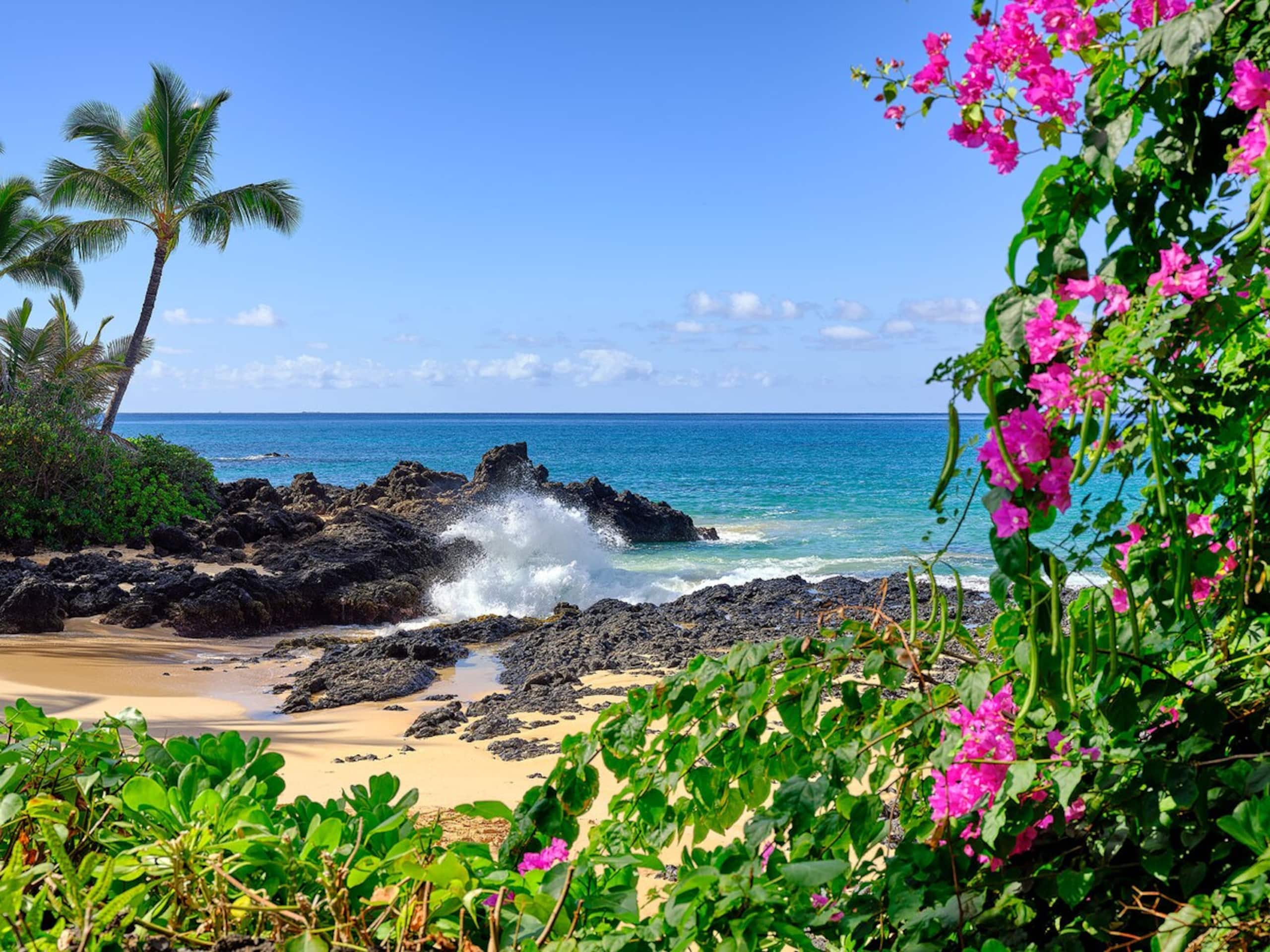 Maui Tropical Getaway w/ Ocean View, Pool, A/C - Photo 61