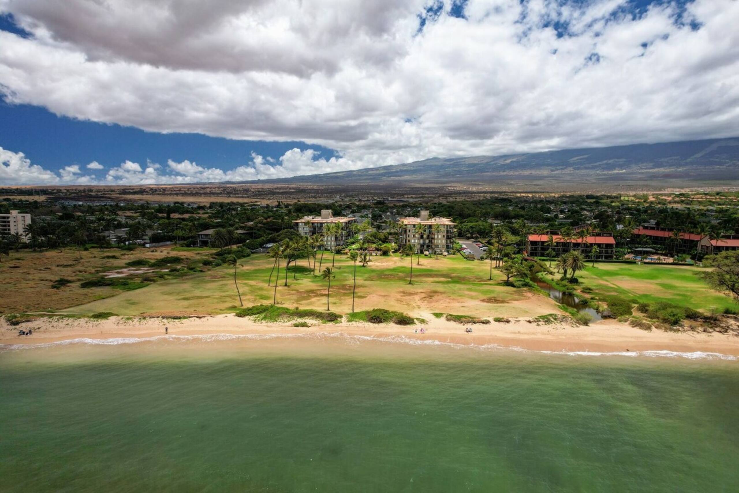 Amazing Front Row Luxury Ocean Views on the Beach - Photo 43
