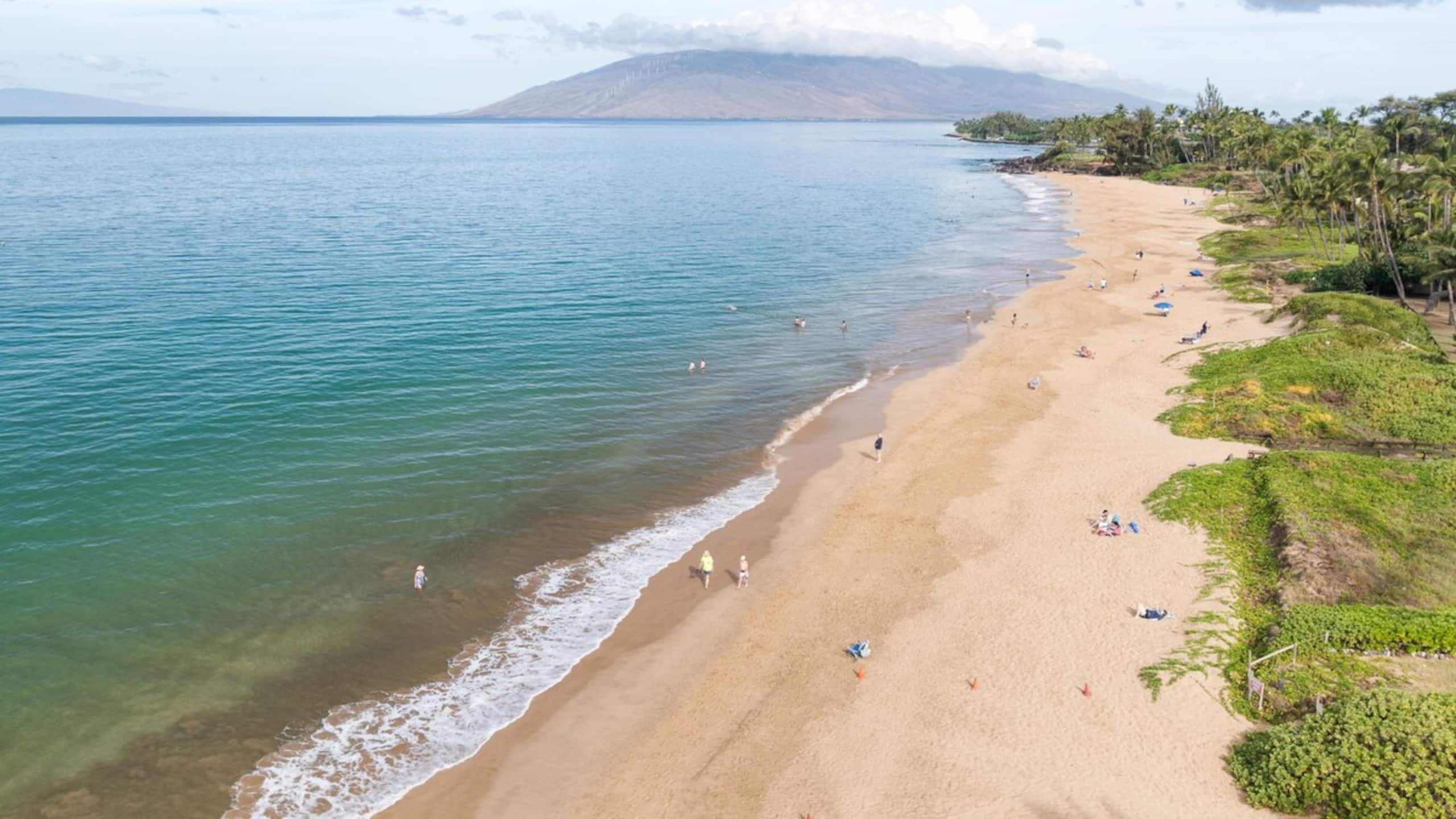 New | Intro Pricing | Steps to Beach | KBC C109 - Photo 31