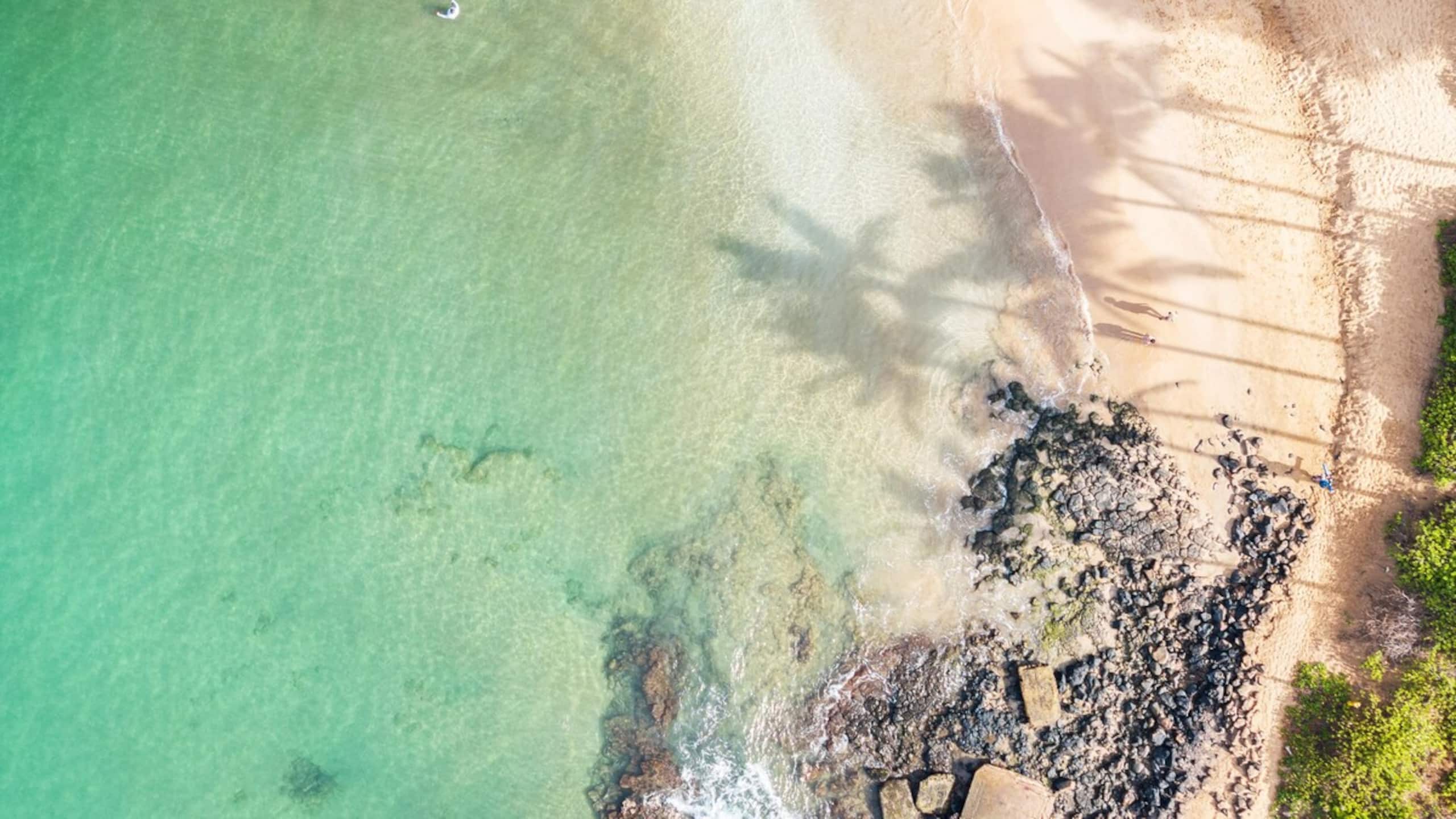 New | Intro Pricing | Steps to Beach | KBC C109 - Photo 61
