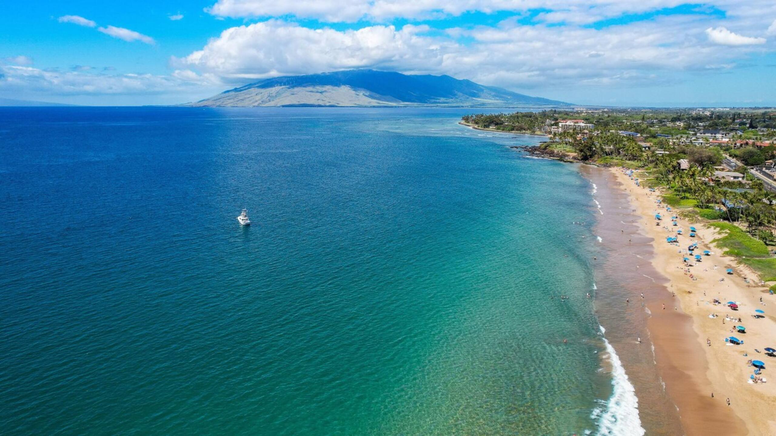 New | Intro Pricing | Steps to Beach | KBC C109 - Photo 68