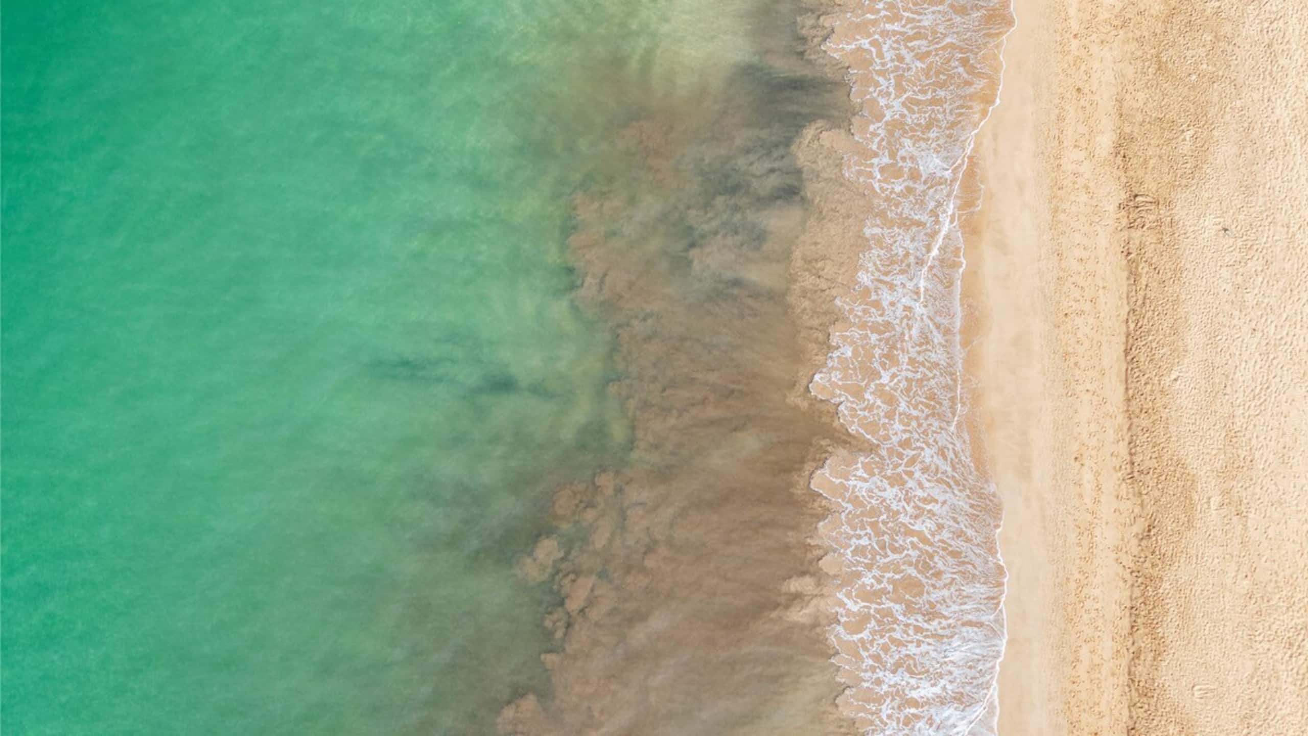 New | Intro Pricing | Steps to Beach | KBC C109 - Photo 55