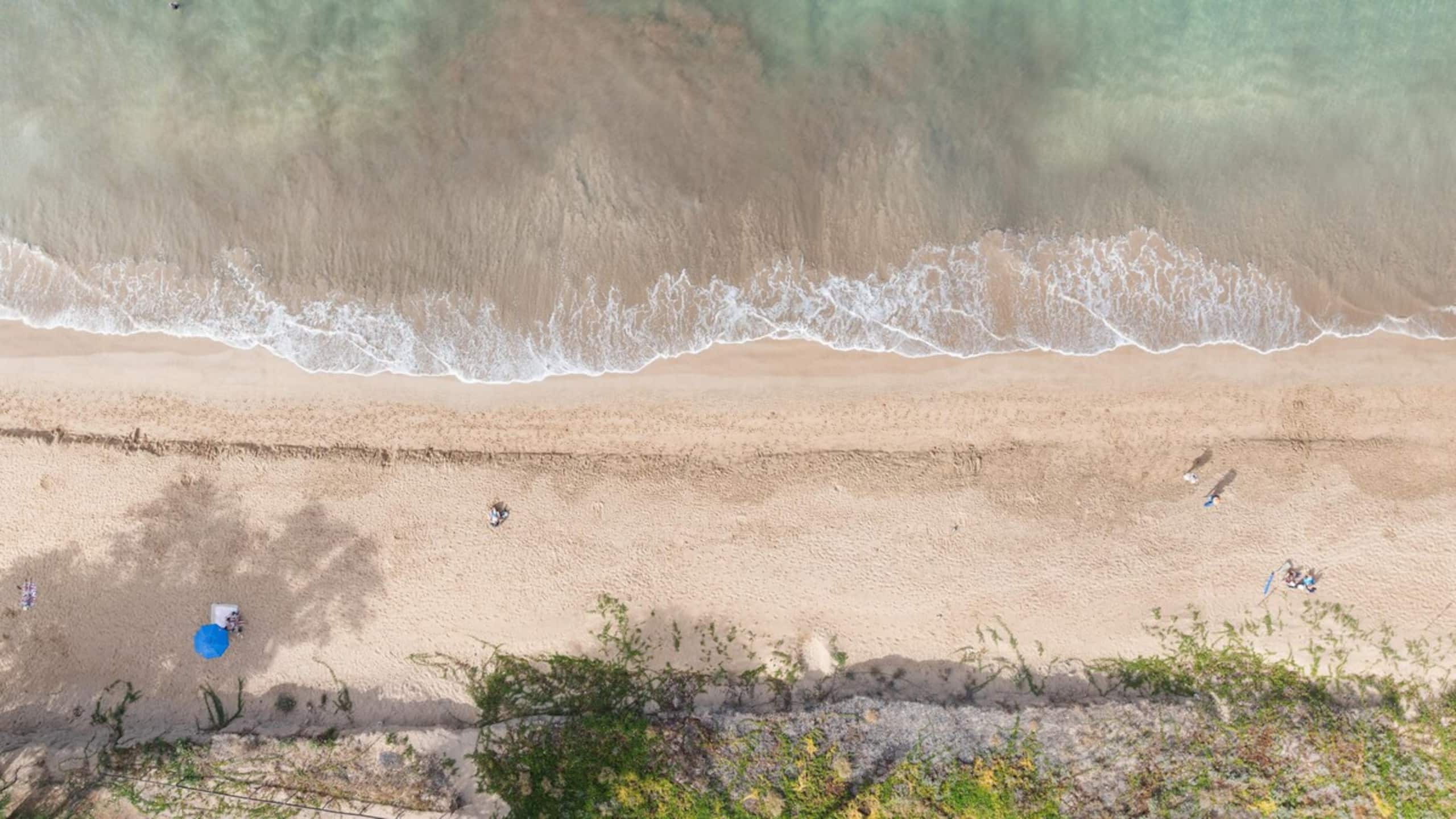 New | Intro Pricing | Steps to Beach | KBC C109 - Photo 76