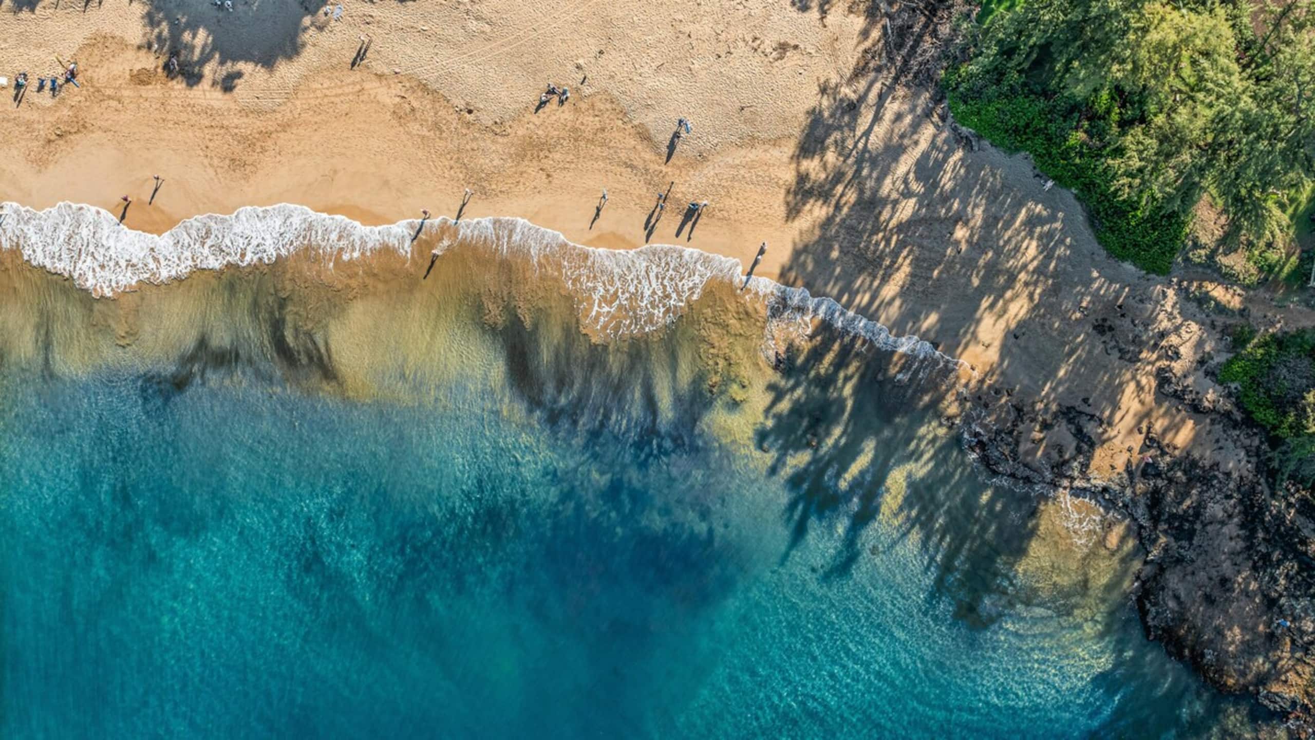 New | Intro Pricing | Steps to Beach | KBC C109 - Photo 70
