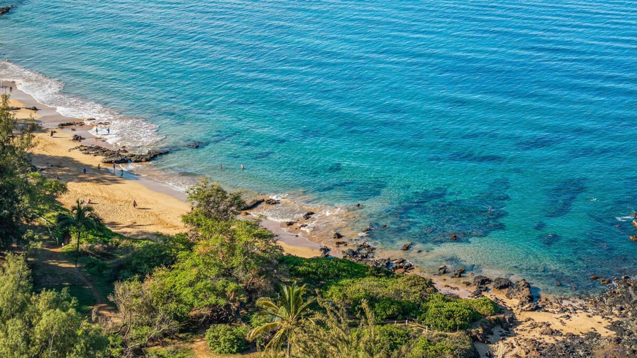 New | Intro Pricing | Steps to Beach | KBC C109 - Photo 74
