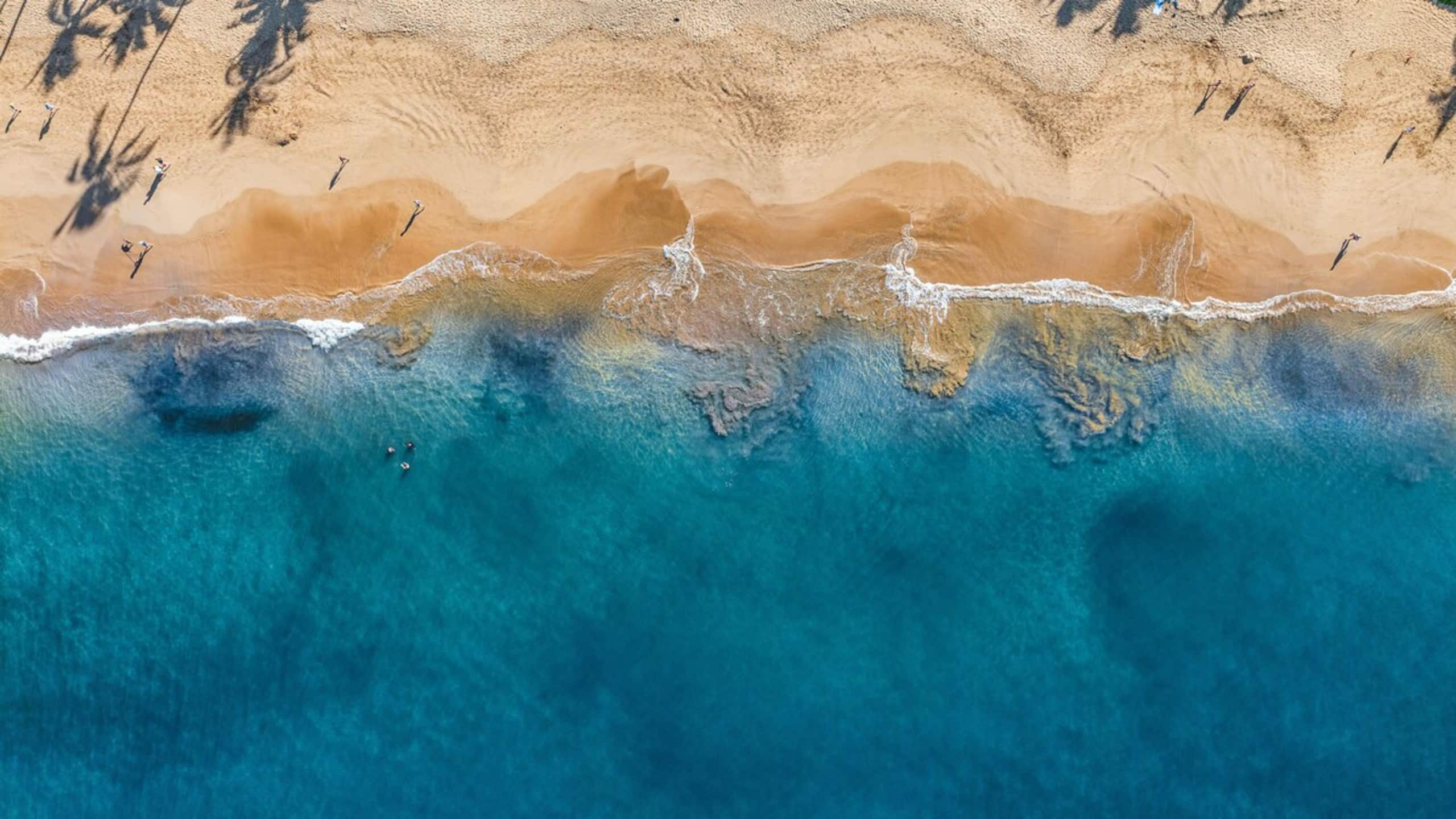 New | Intro Pricing | Steps to Beach | KBC C109 - Photo 69