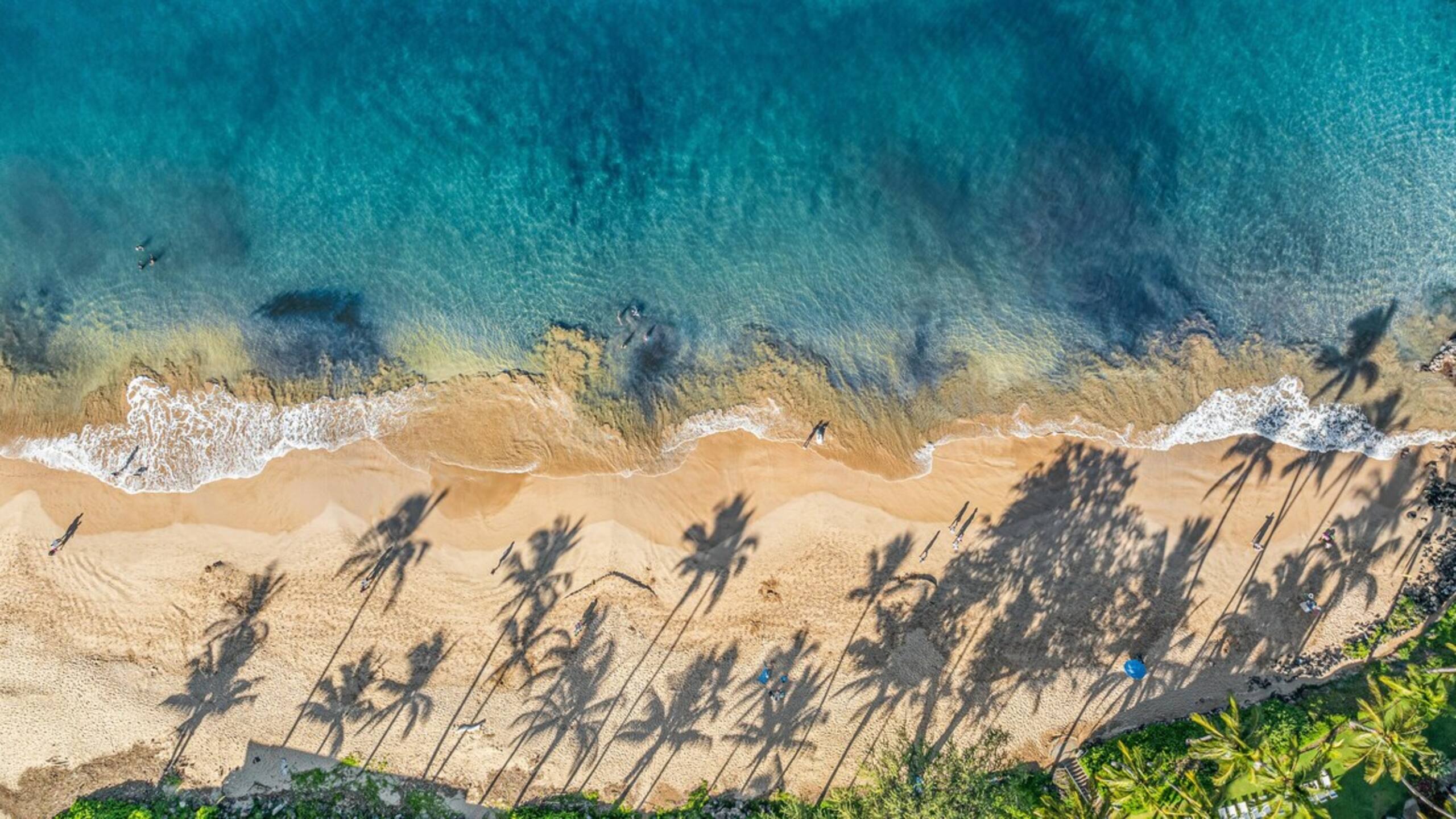 New | Intro Pricing | Steps to Beach | KBC C109 - Photo 4