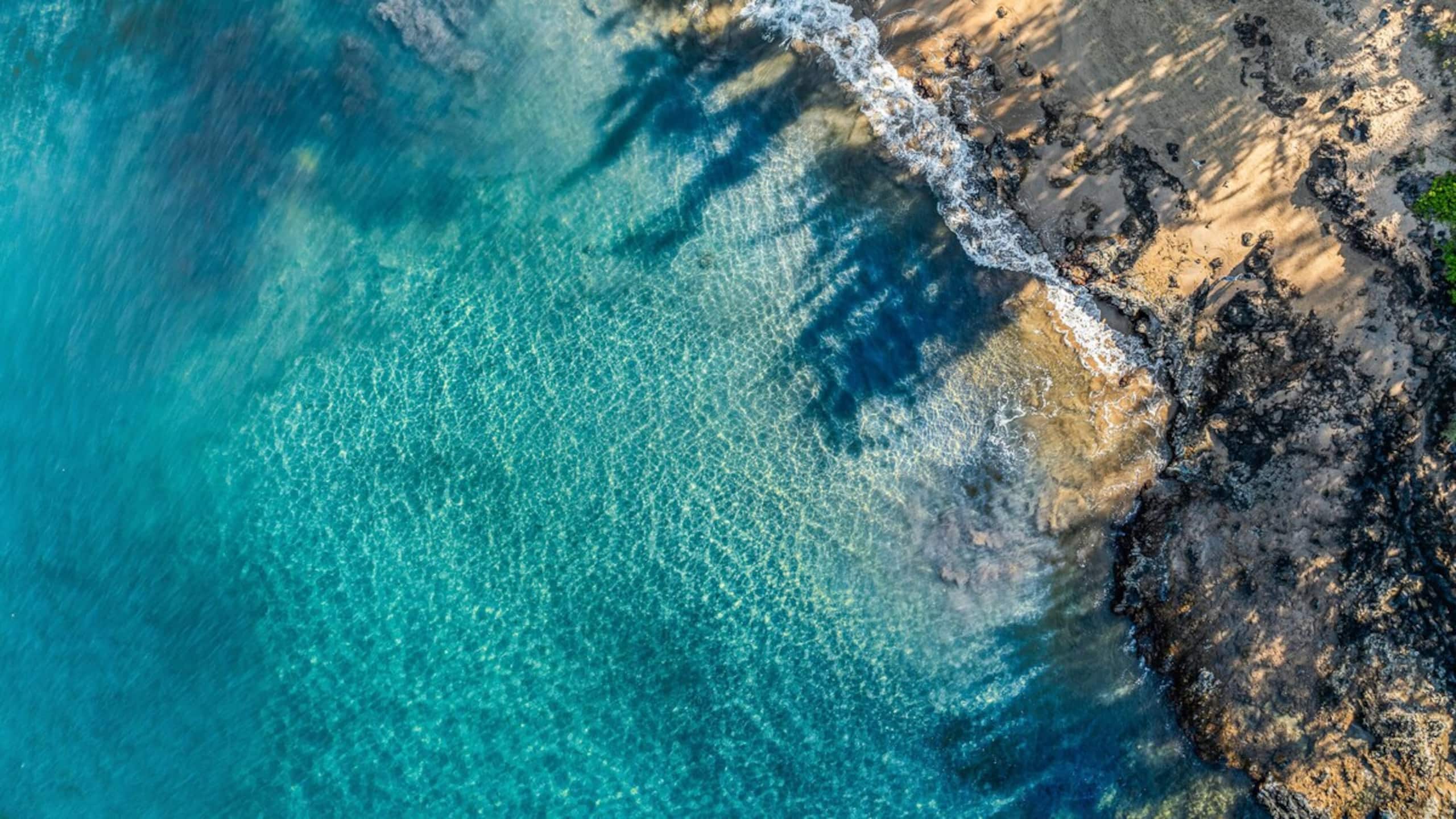 New | Intro Pricing | Steps to Beach | KBC C109 - Photo 73
