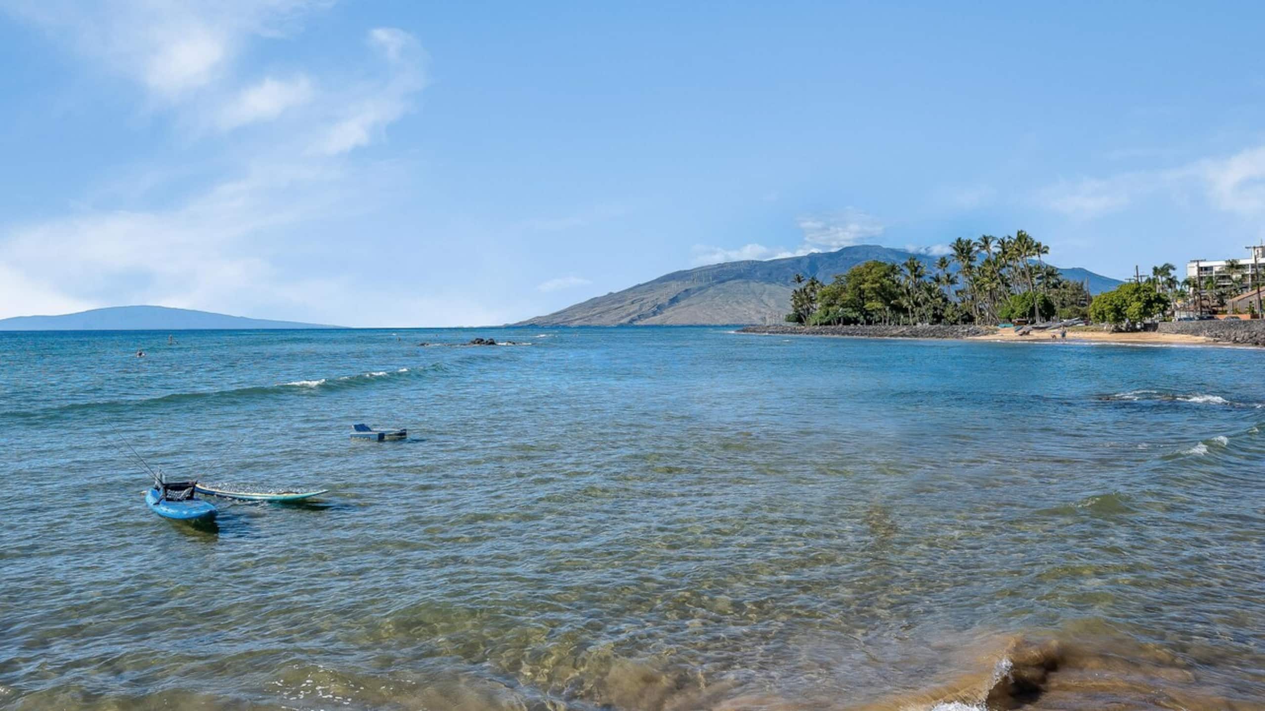 New | Intro Pricing | Steps to Beach | KBC C109 - Photo 72