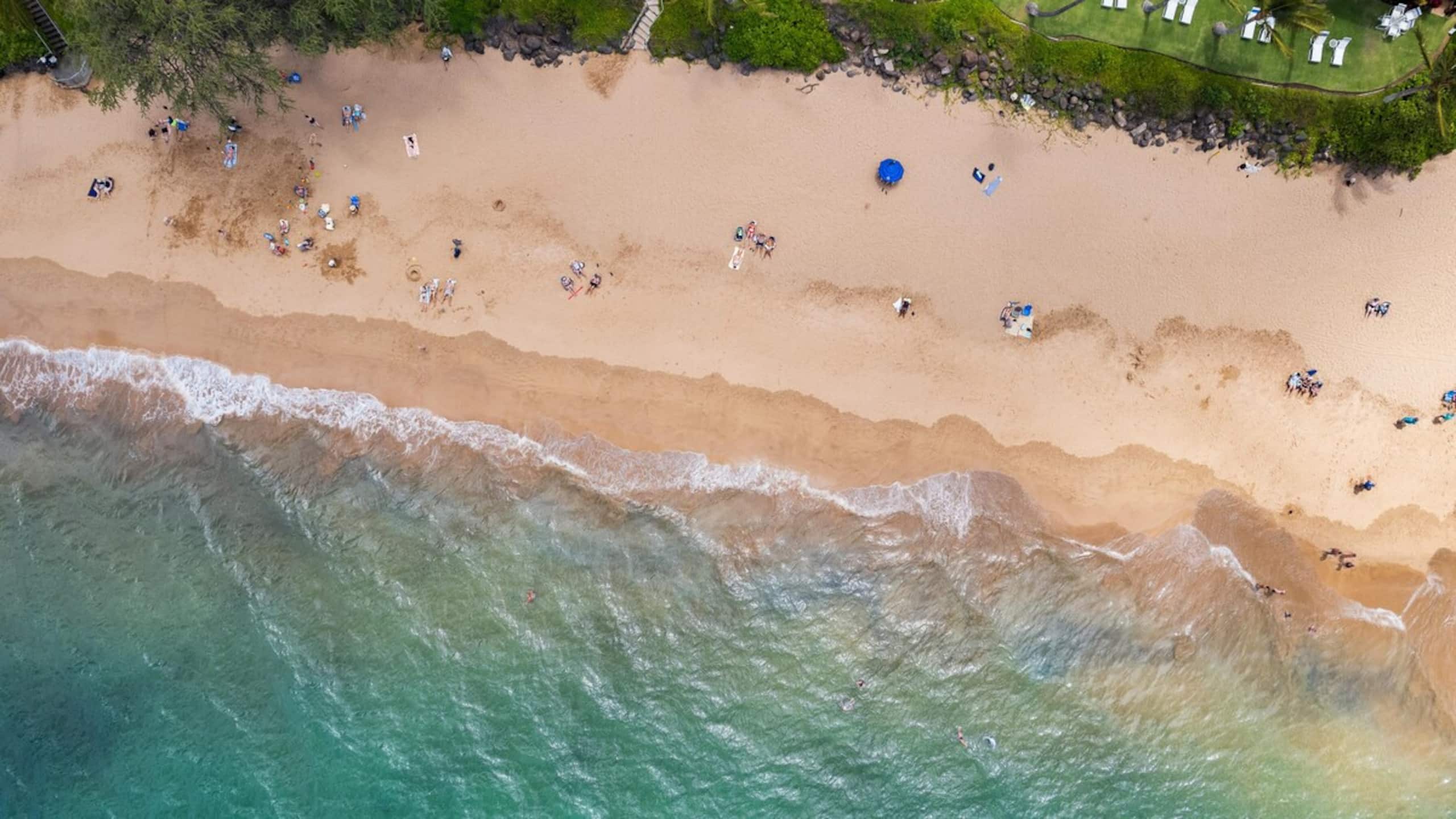 New | Intro Pricing | Steps to Beach | KBC C109 - Photo 39