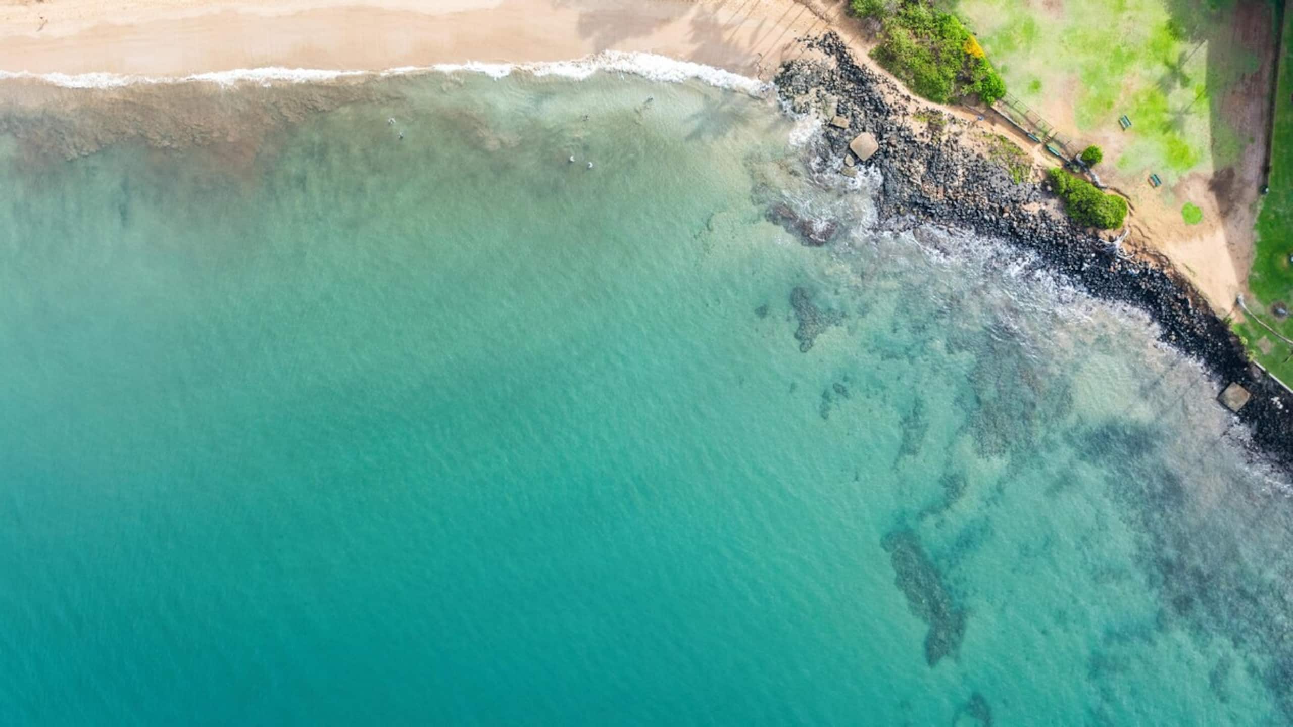 New | Intro Pricing | Steps to Beach | KBC C109 - Photo 62