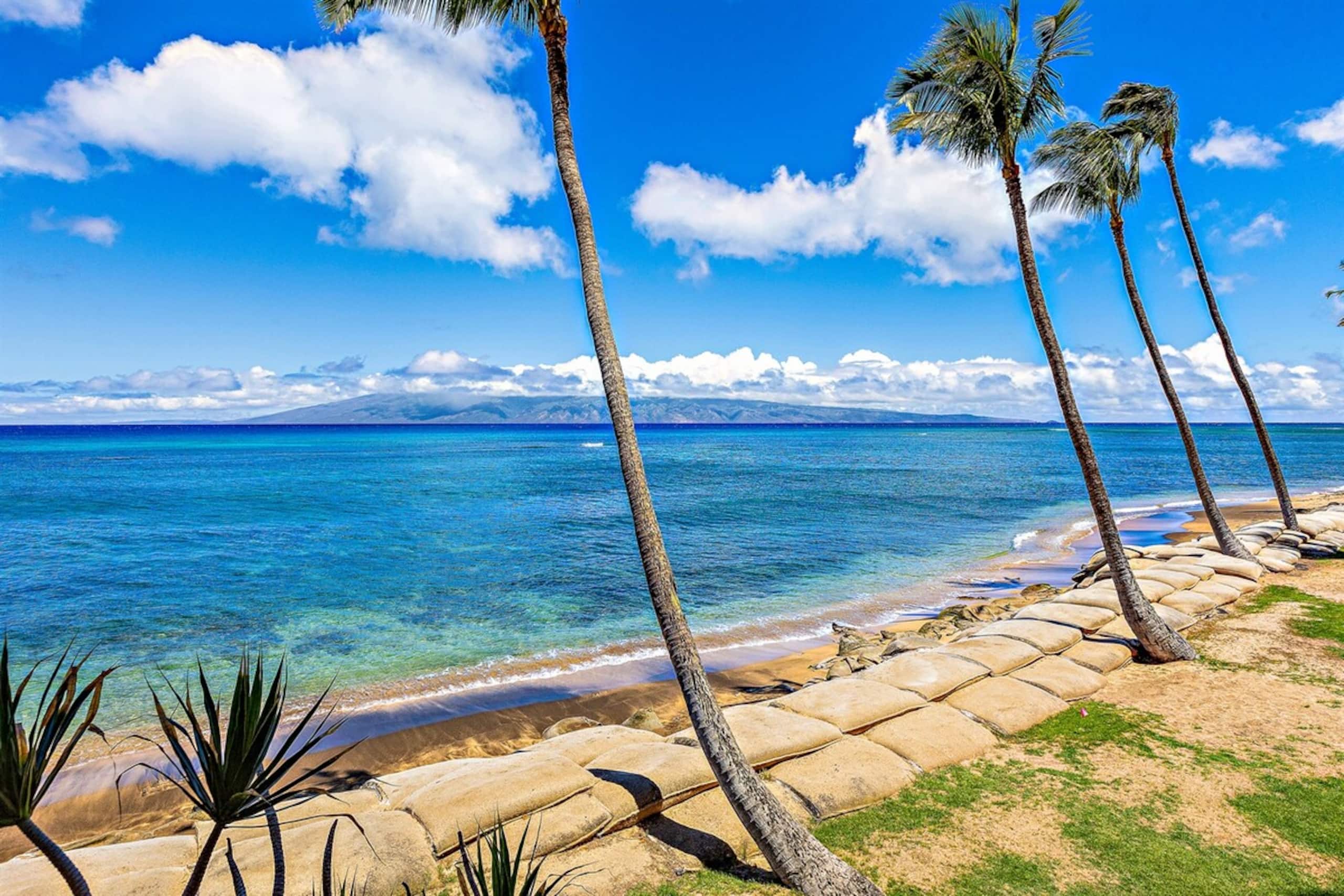 Valley Isle Resort 209 - Vacation West Maui - Photo 31