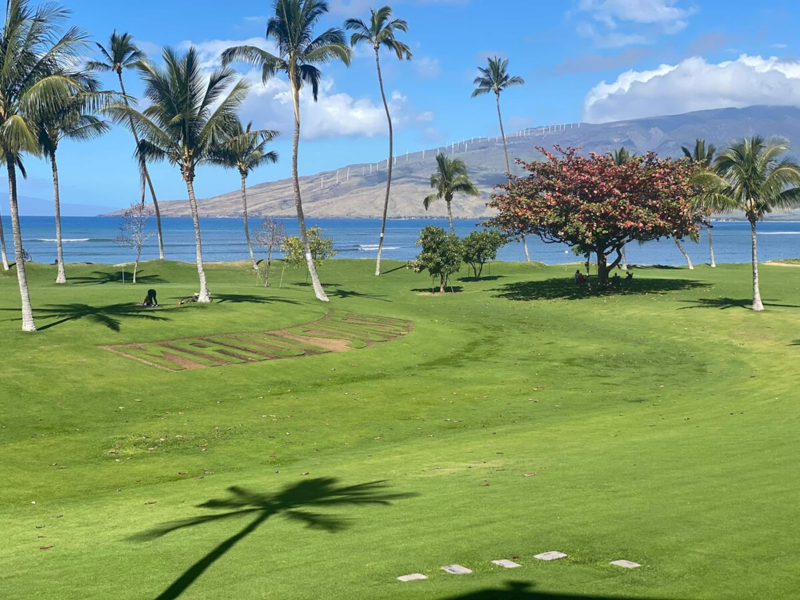 Maui Sunset B223 3 BR, 3 BA Ocean Front Condo w/ S - Photo 31