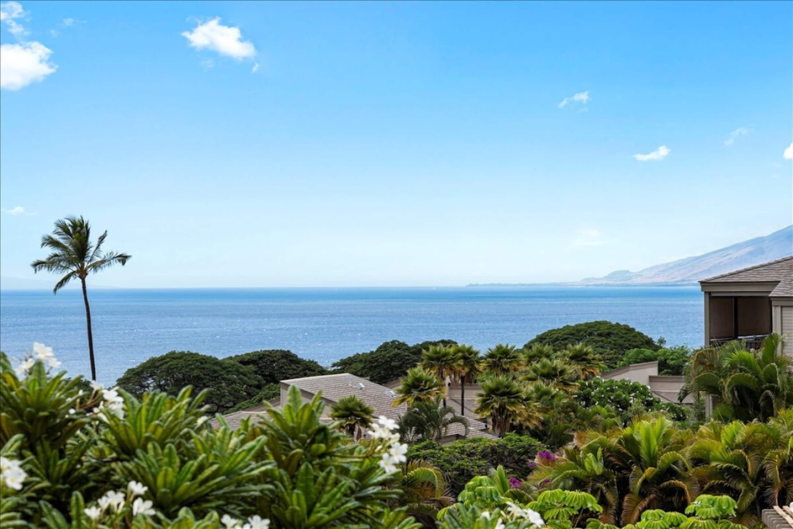 A.R.A Retreats: The Grand Pacific - Photo 33