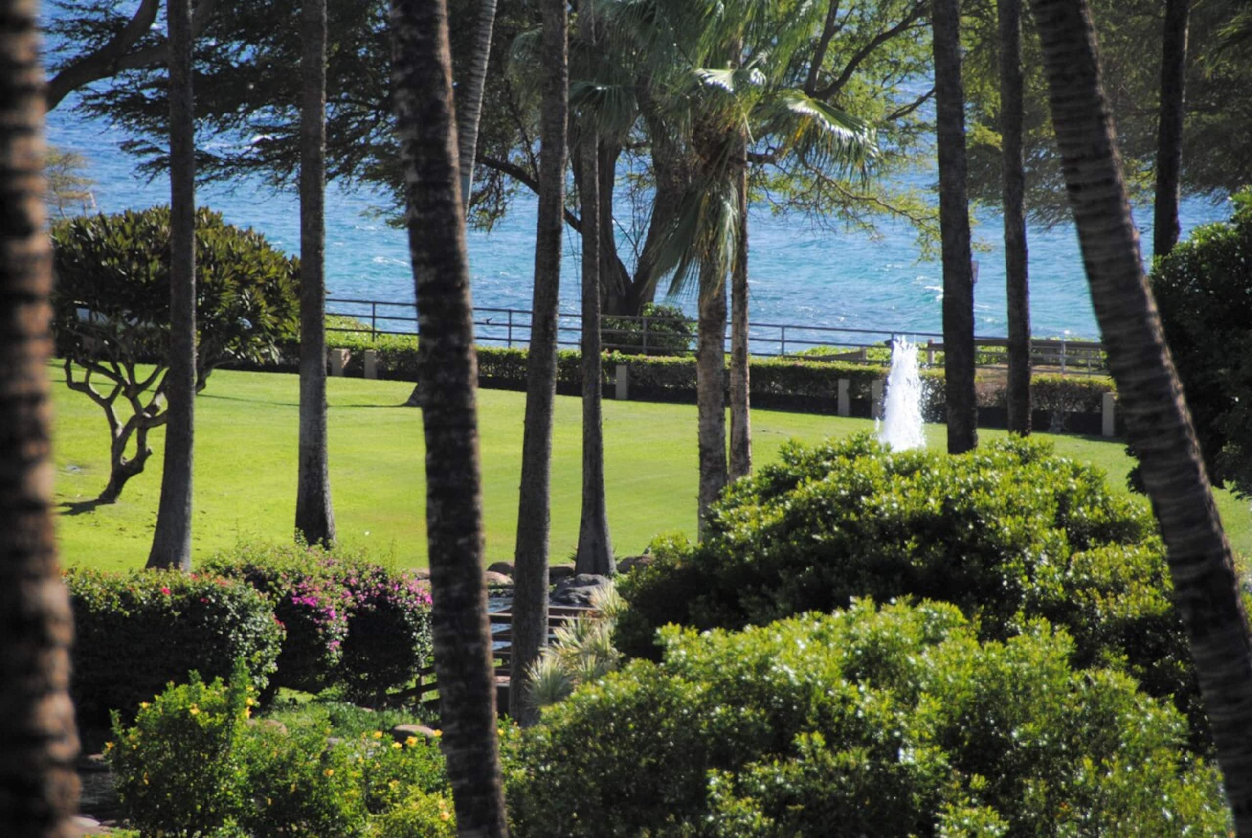 3 BR/3BA, Gorgeous View - AC - South Maui - Photo 6