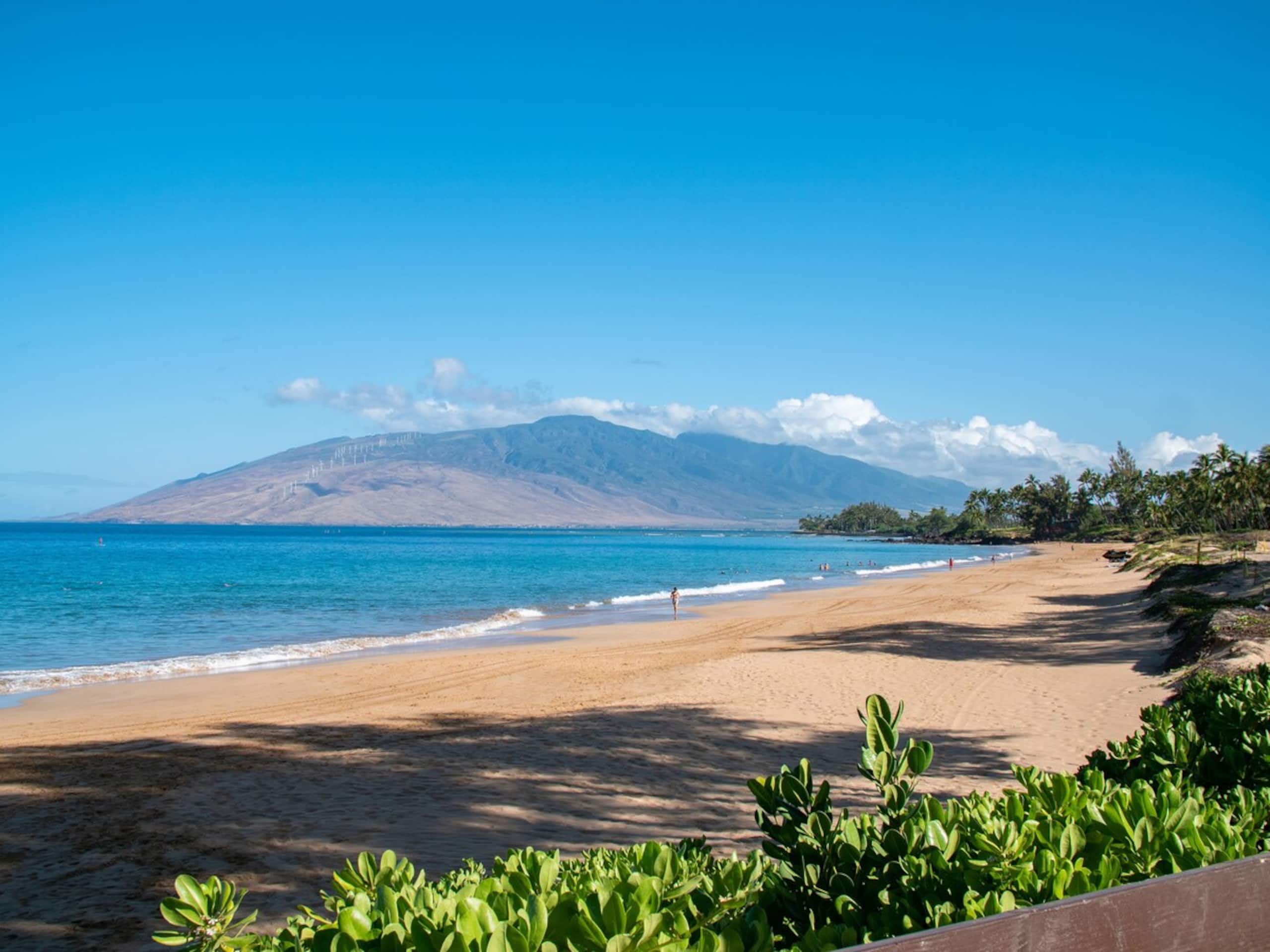 Beachy Boho Retreat Heart of Kihei -Steps to Beach - Photo 25