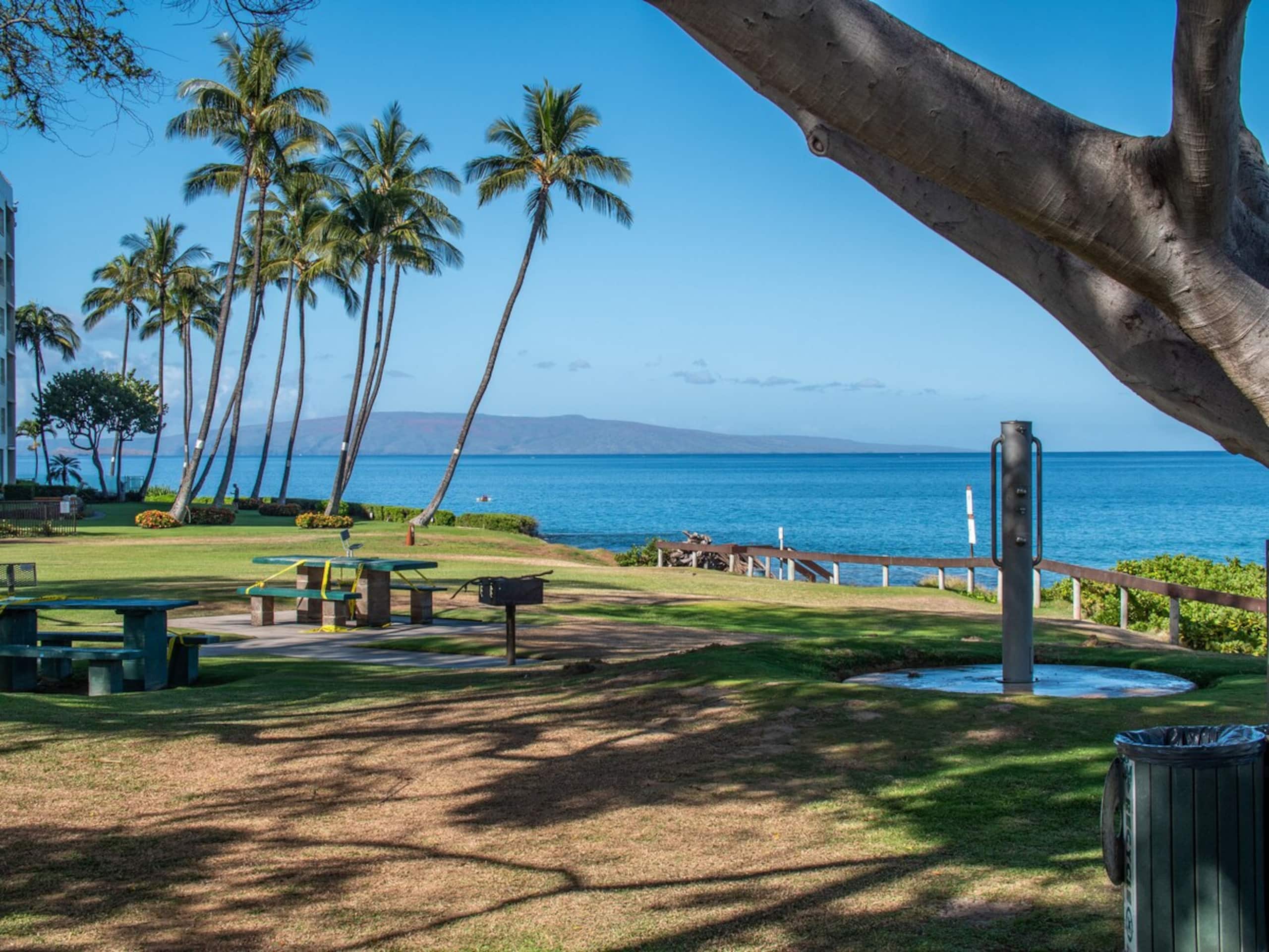 Beachy Boho Retreat Heart of Kihei -Steps to Beach - Photo 27