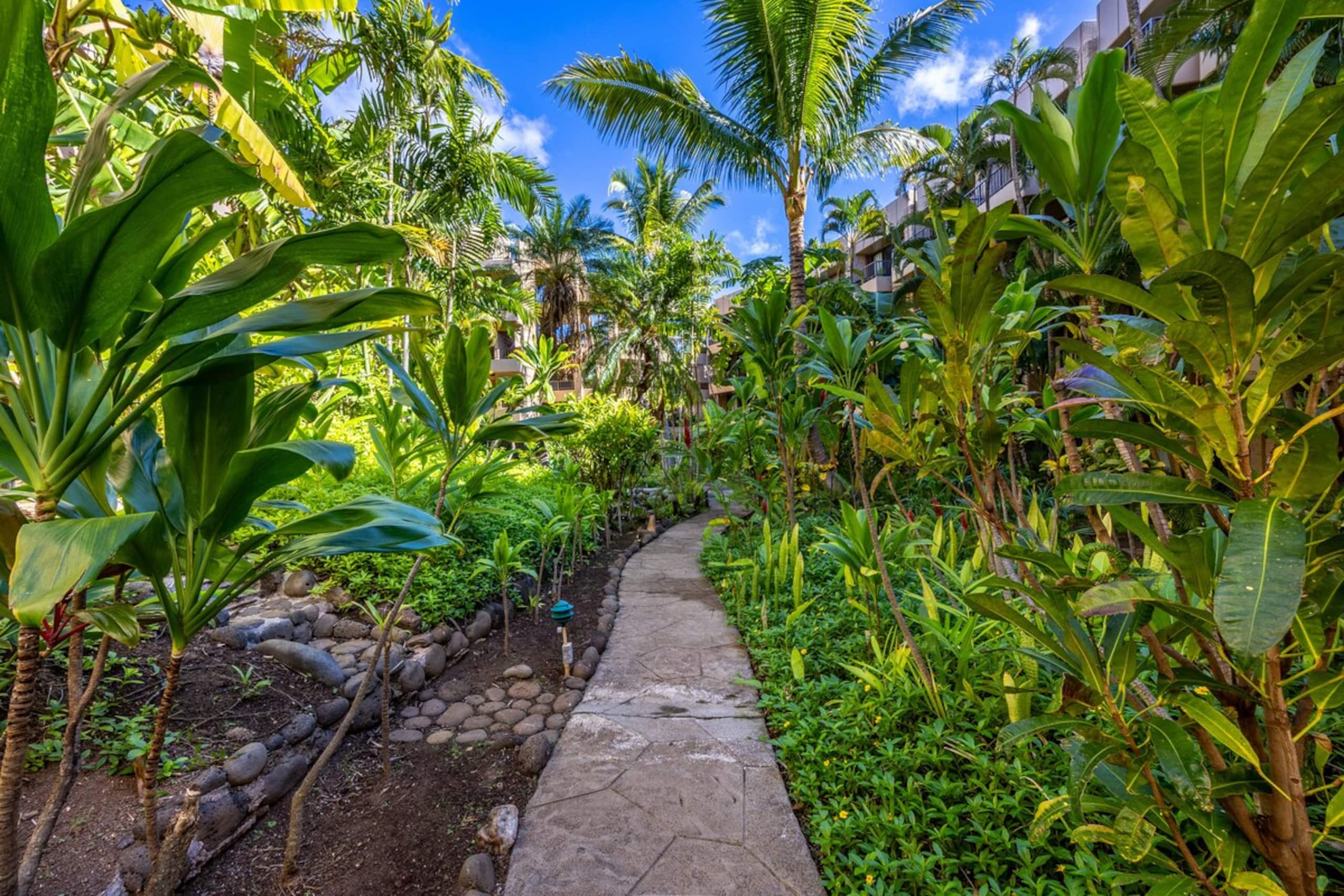 Perfect Romantic Getaway - Right on the Ocean - Photo 38