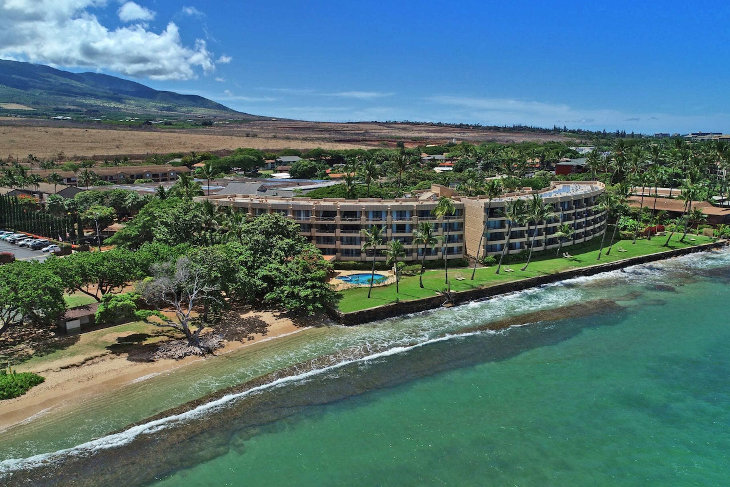 Perfect Romantic Getaway - Right on the Ocean - Photo 7